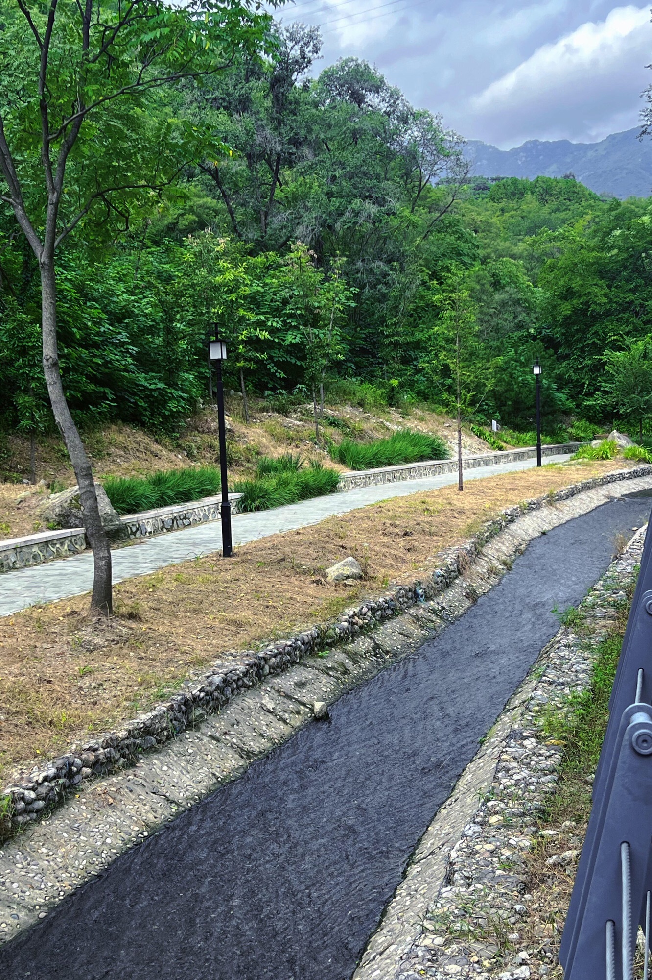 白水寺森林公园旅行图片 3