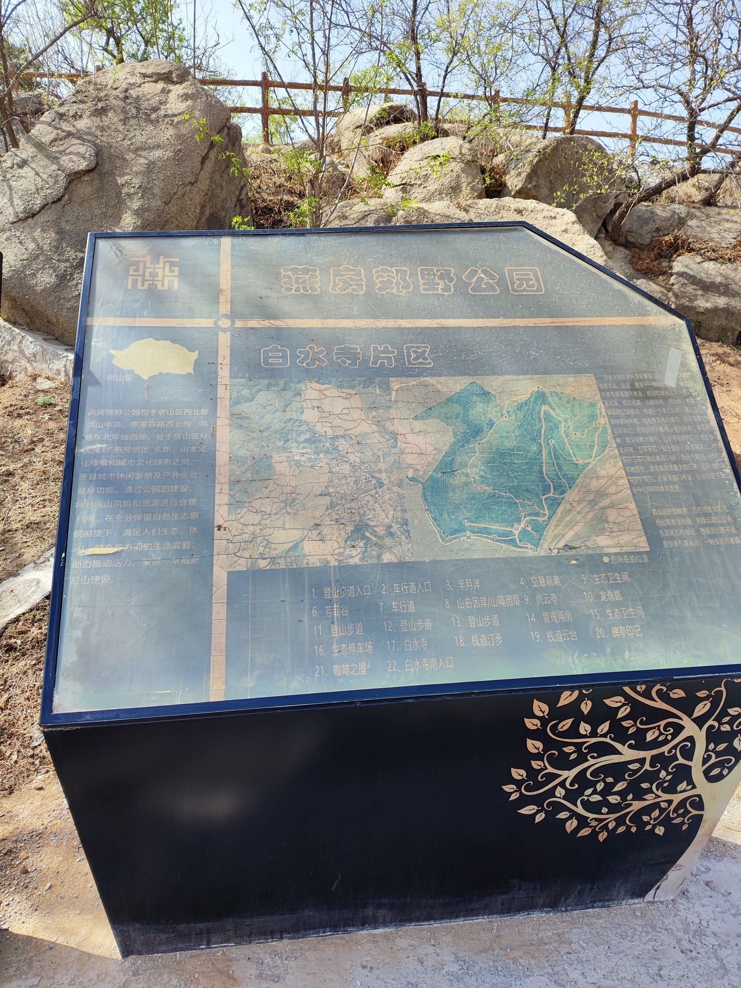 白水寺森林公园旅行图片 1