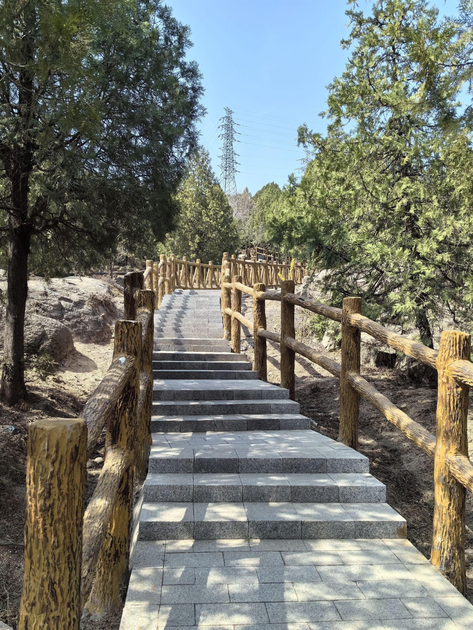 白水寺森林公园旅行图片 1