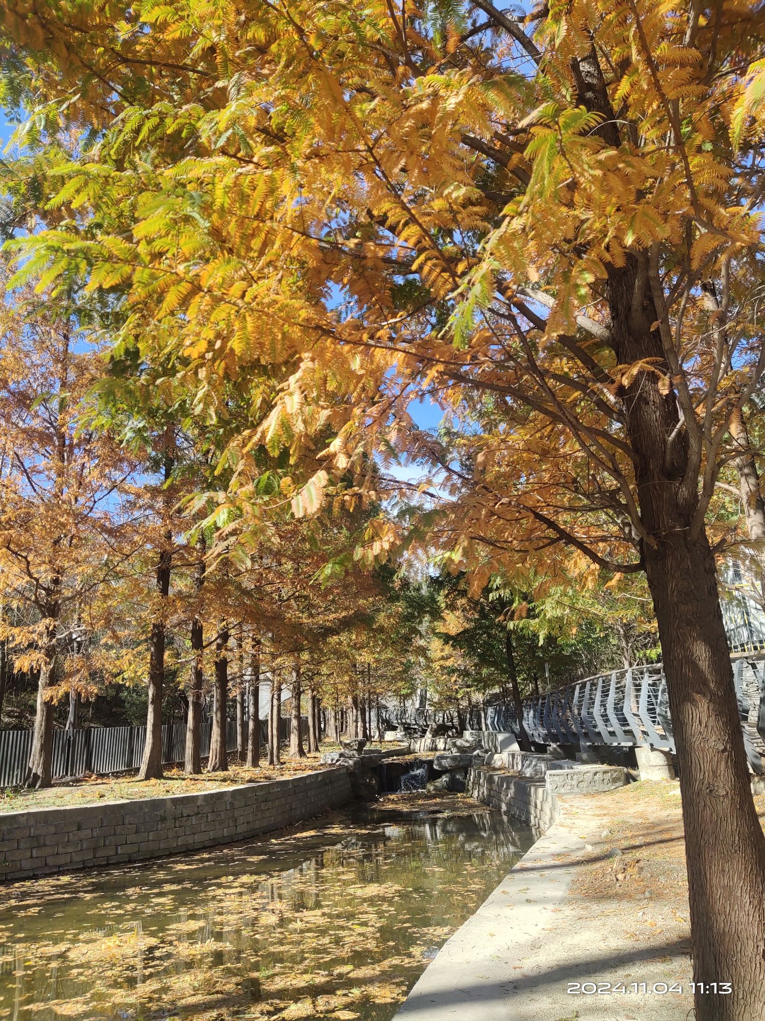 白水寺森林公园旅行图片 2