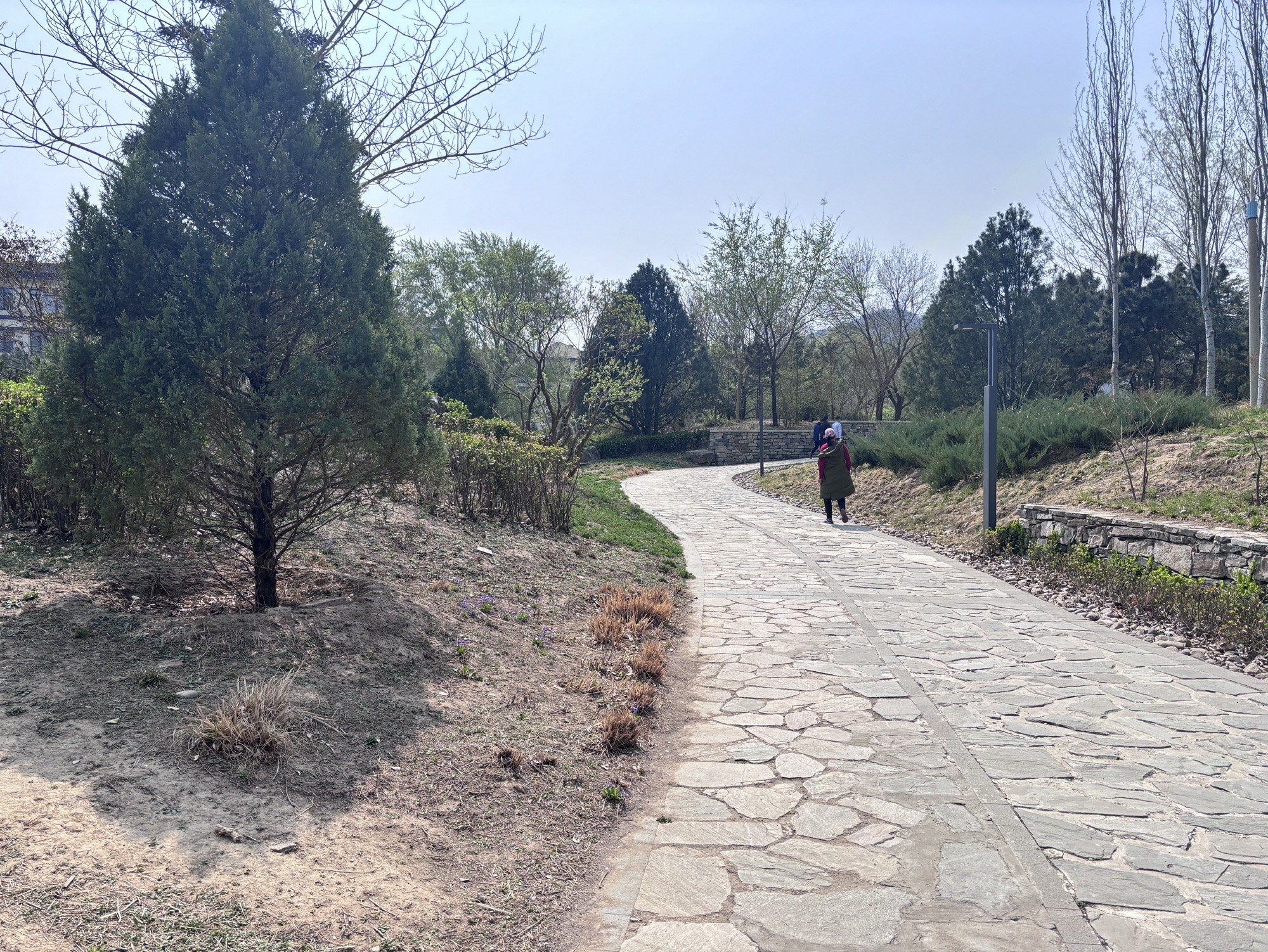 百旺公园旅行图片 2