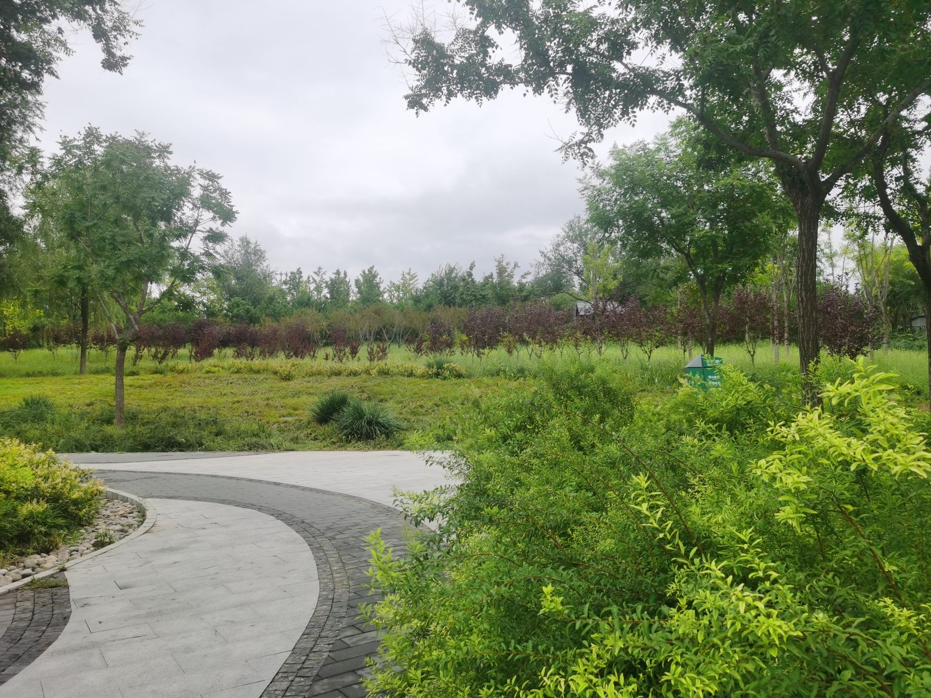 百旺公园旅行图片 2