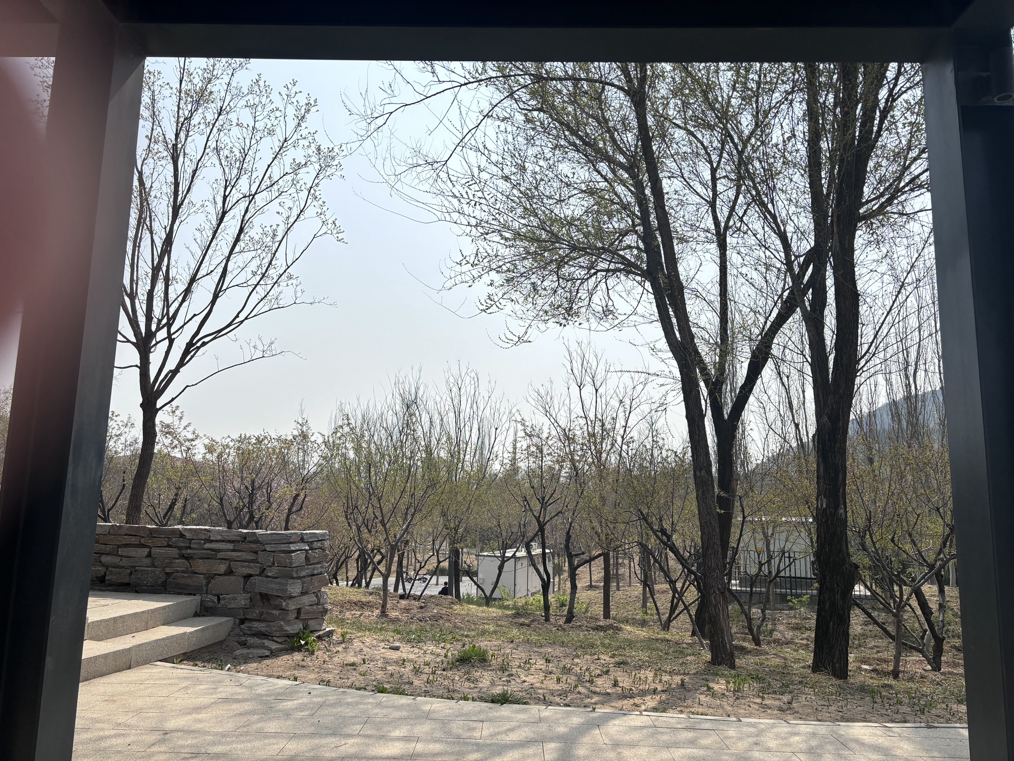 百旺公园旅行图片 1