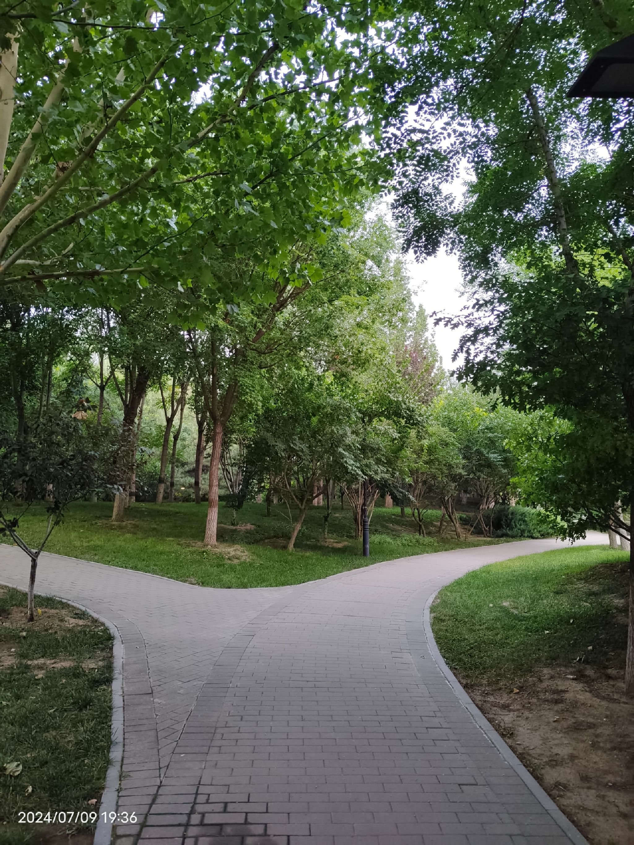 东升文体公园旅行图片 1