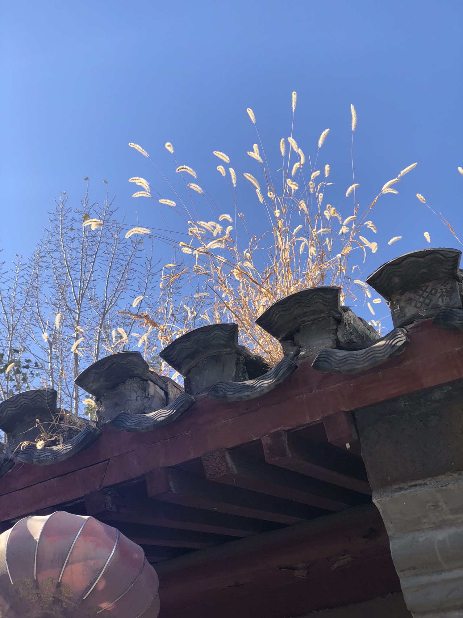 绍兴会馆旅行图片 1
