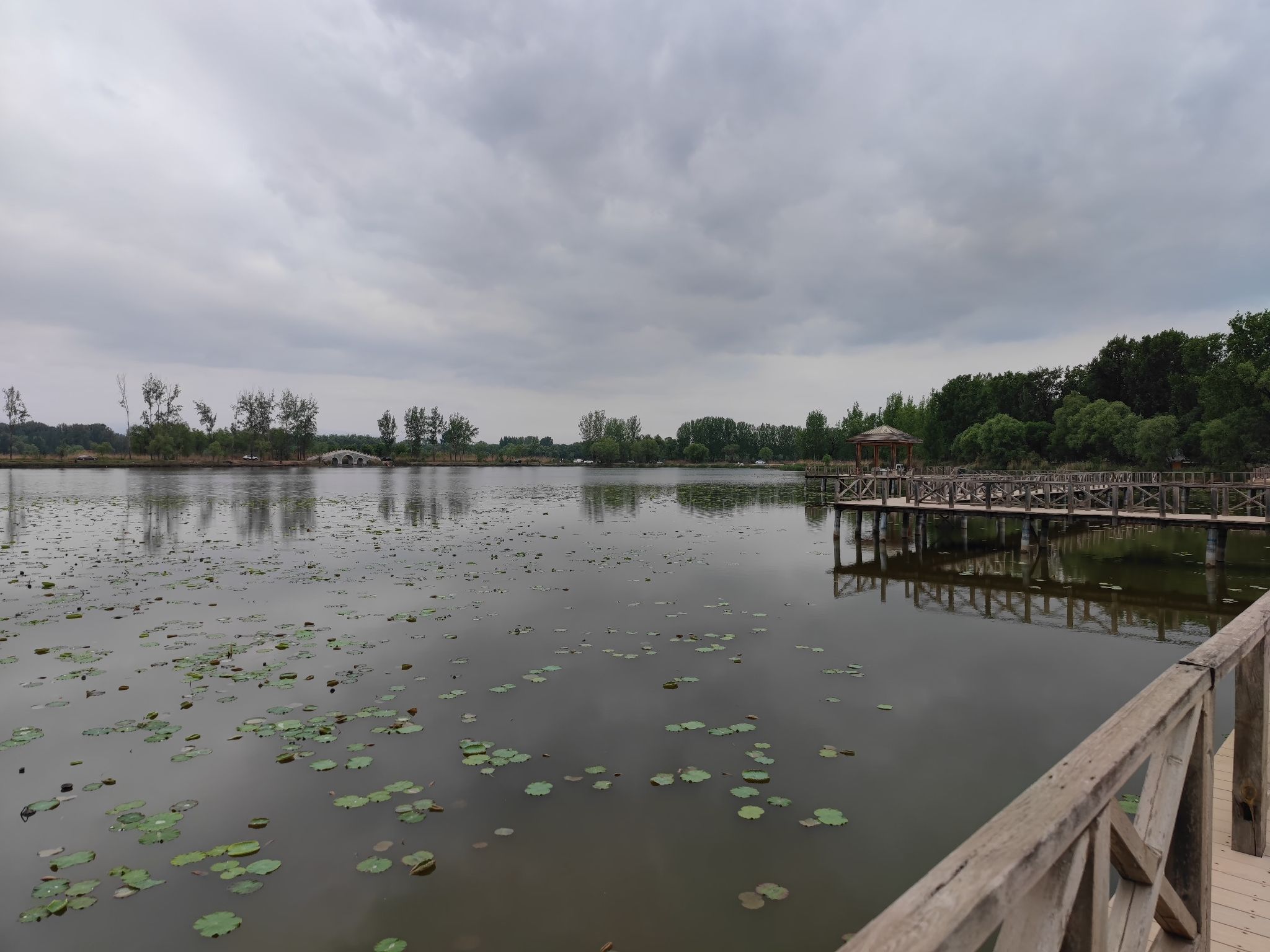 雅荷园旅行图片 3