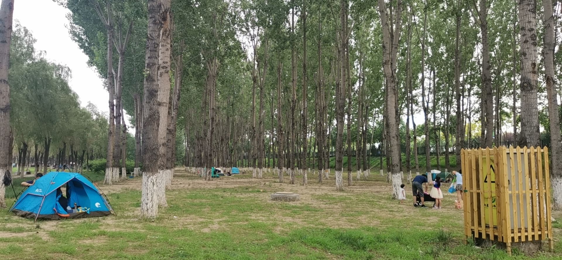 爨柏景区旅行图片 1