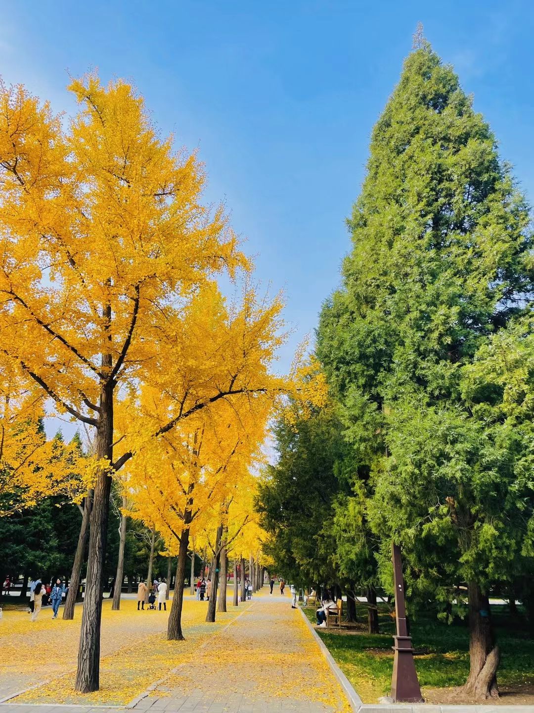 爨柏景区旅行图片 2