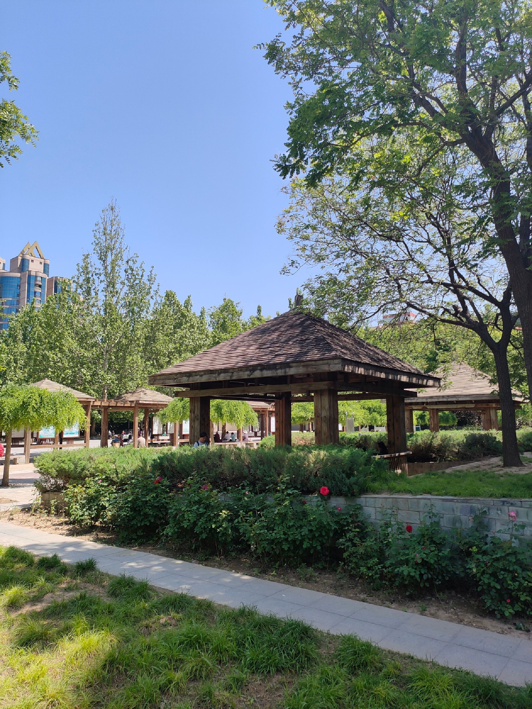 小关奥林匹克文化广场旅行图片 3