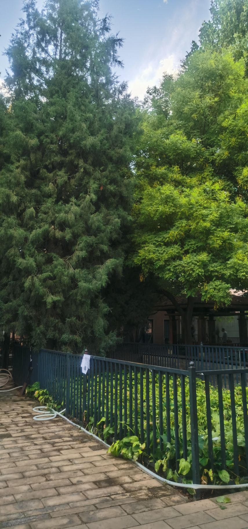 小关奥林匹克文化广场旅行图片 3
