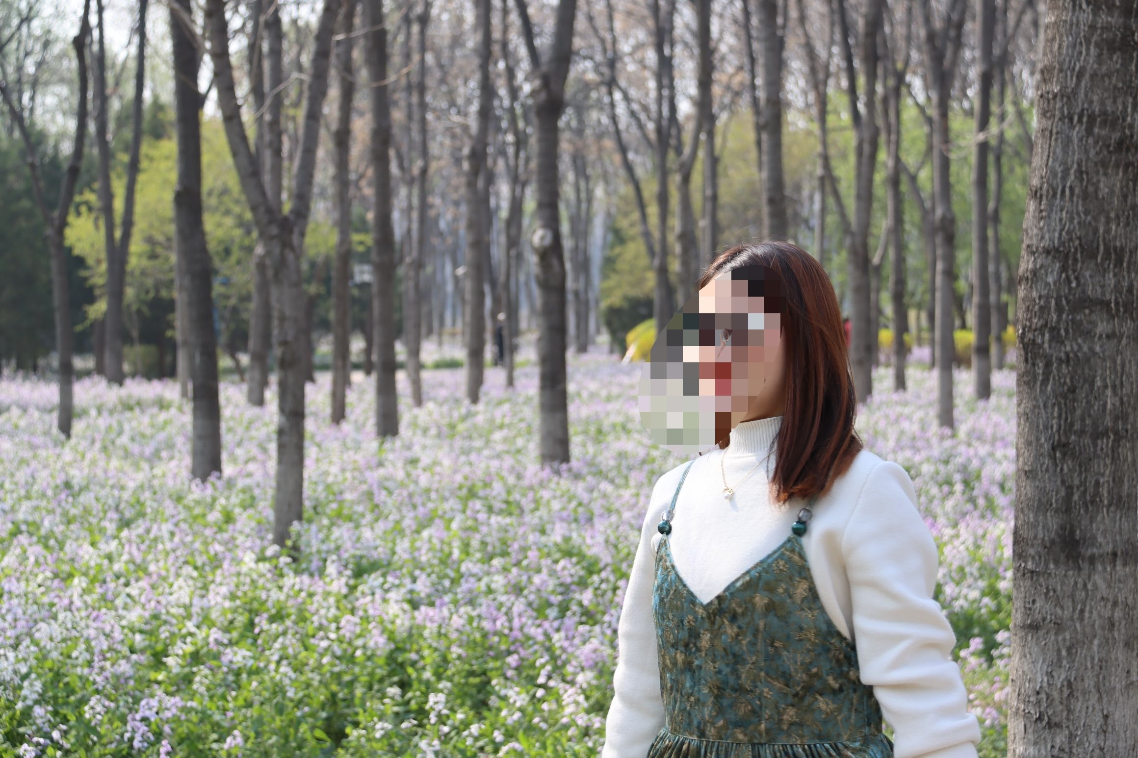 将府公园旅行图片 2