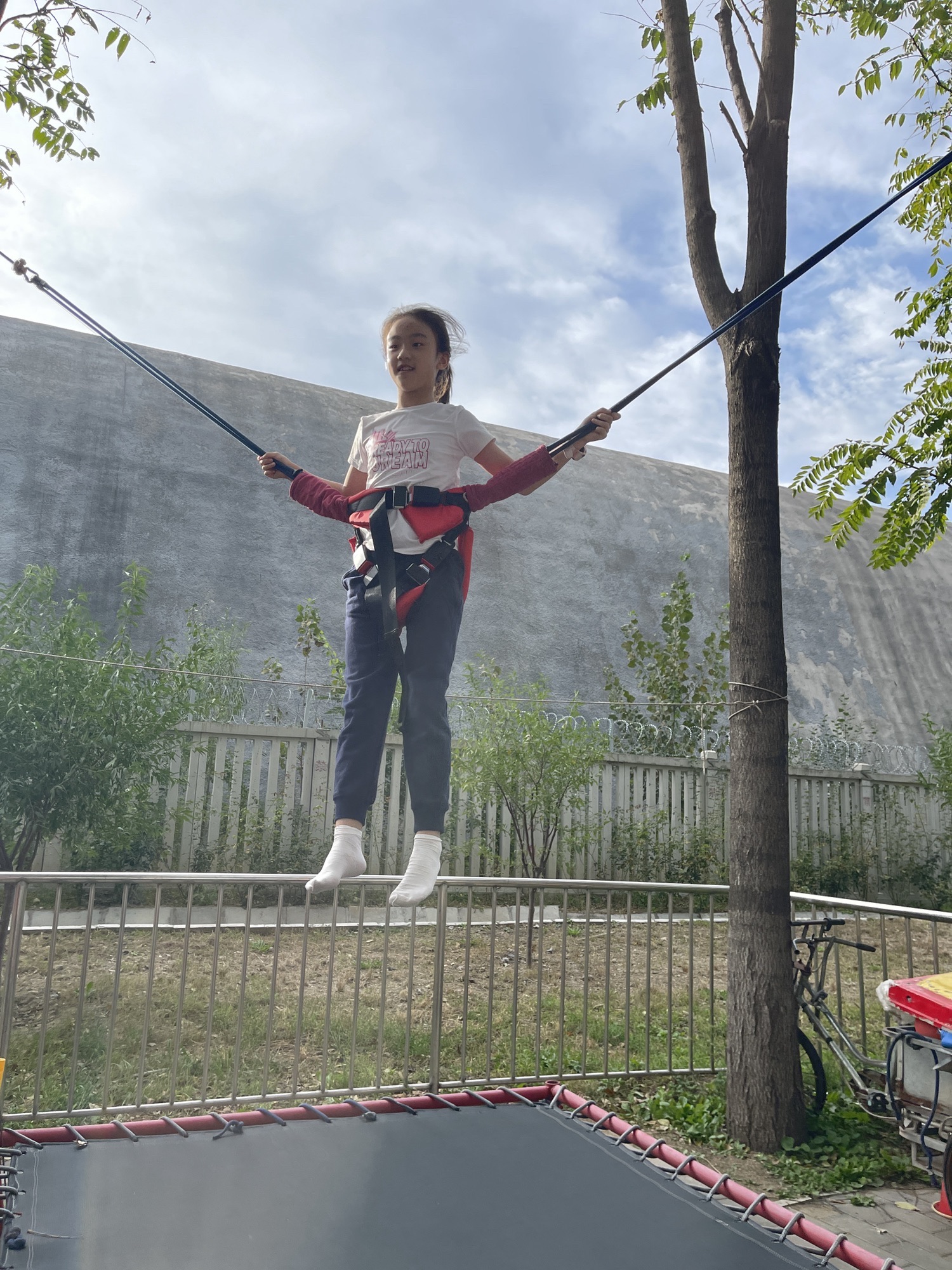 将府公园旅行图片 3