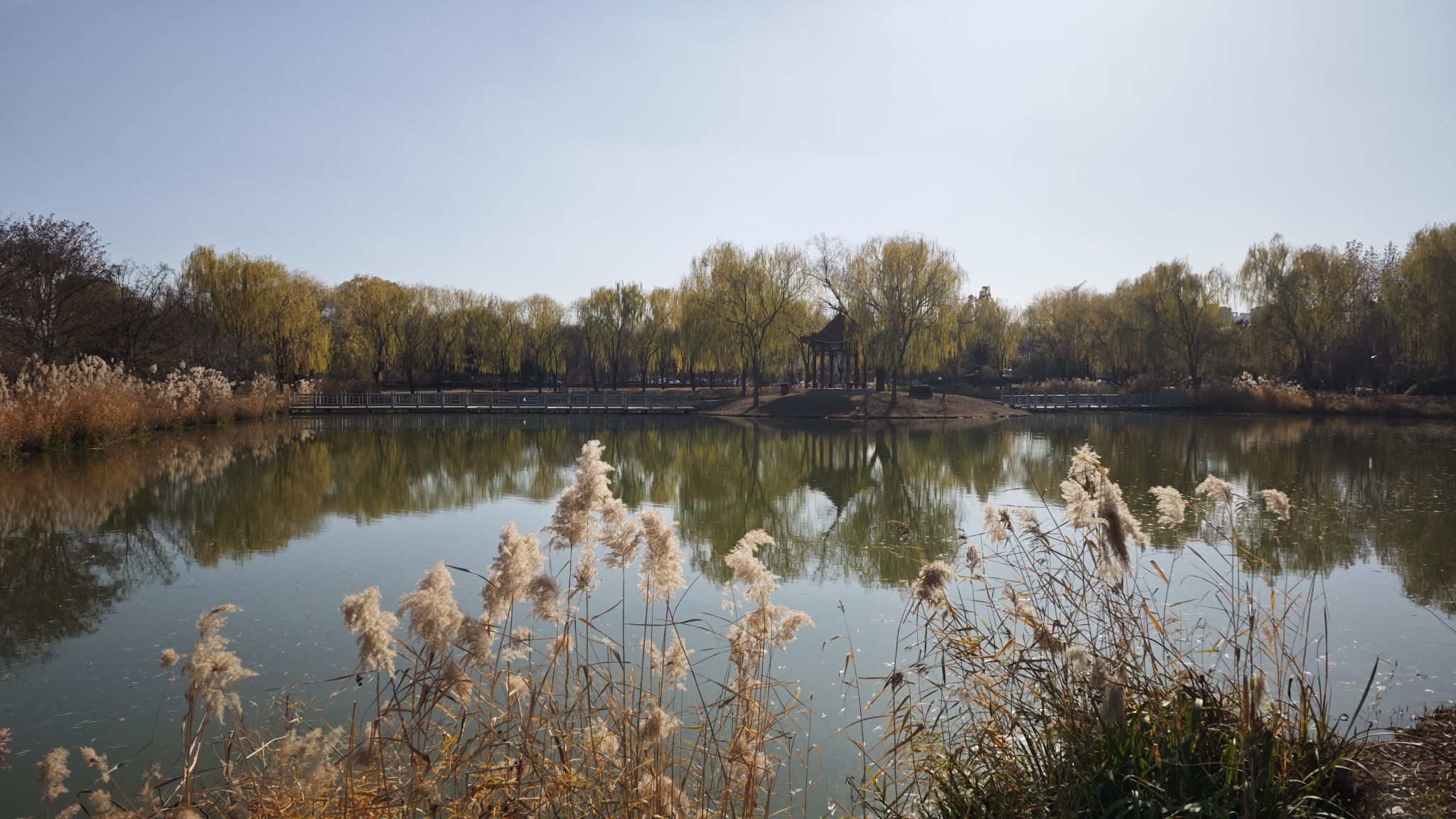 将府公园旅行图片 3