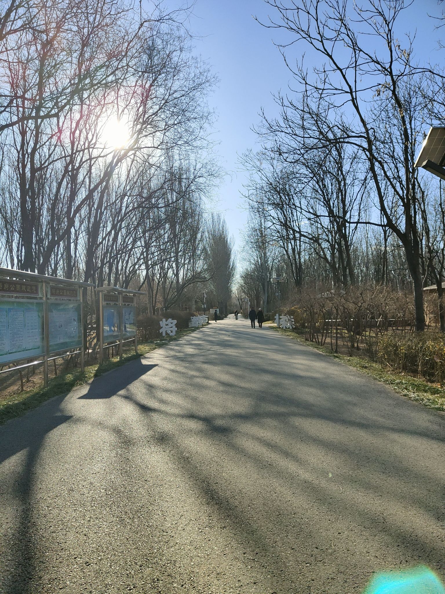 将府公园旅行图片 2
