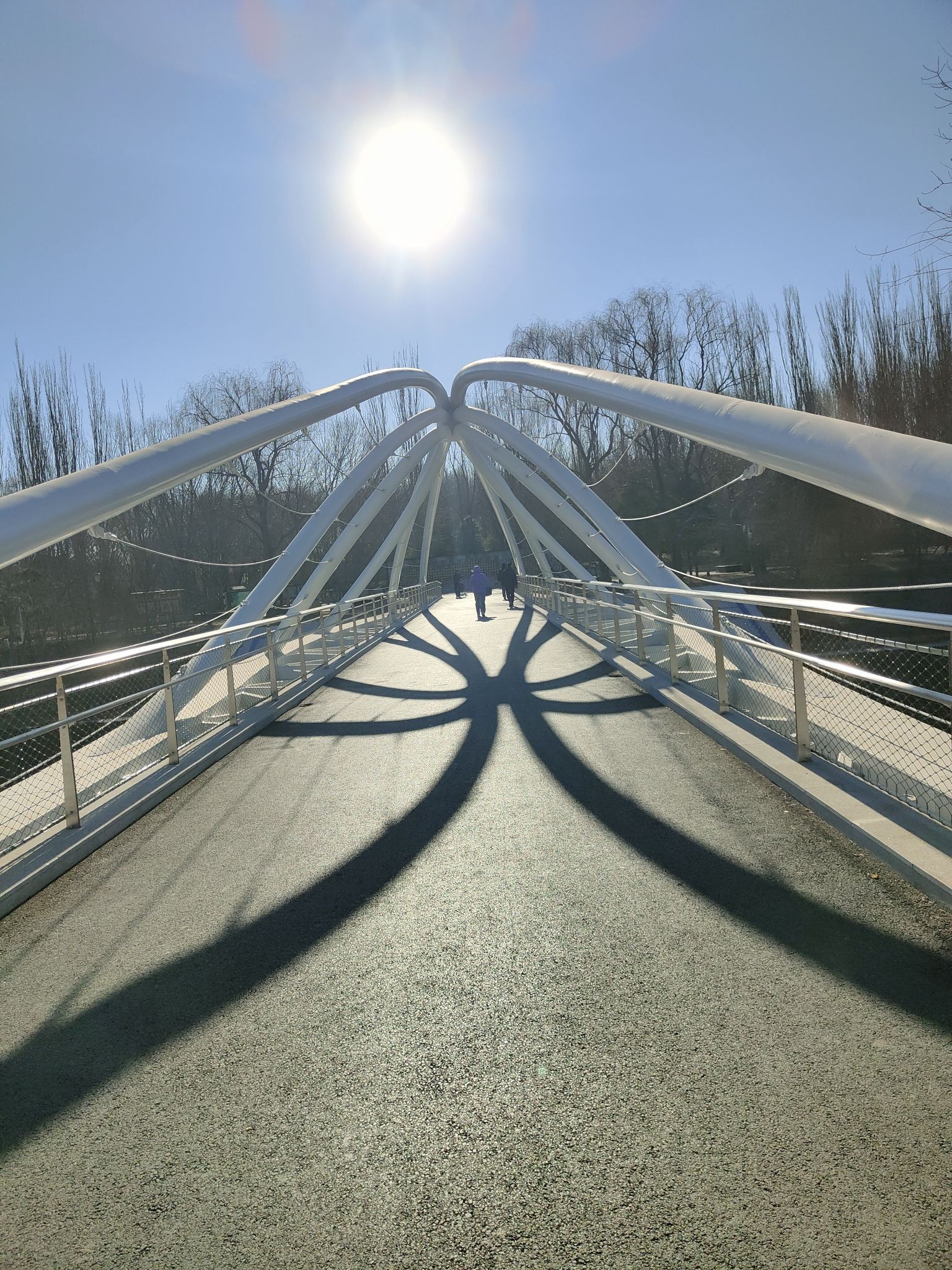 将府公园旅行图片 3