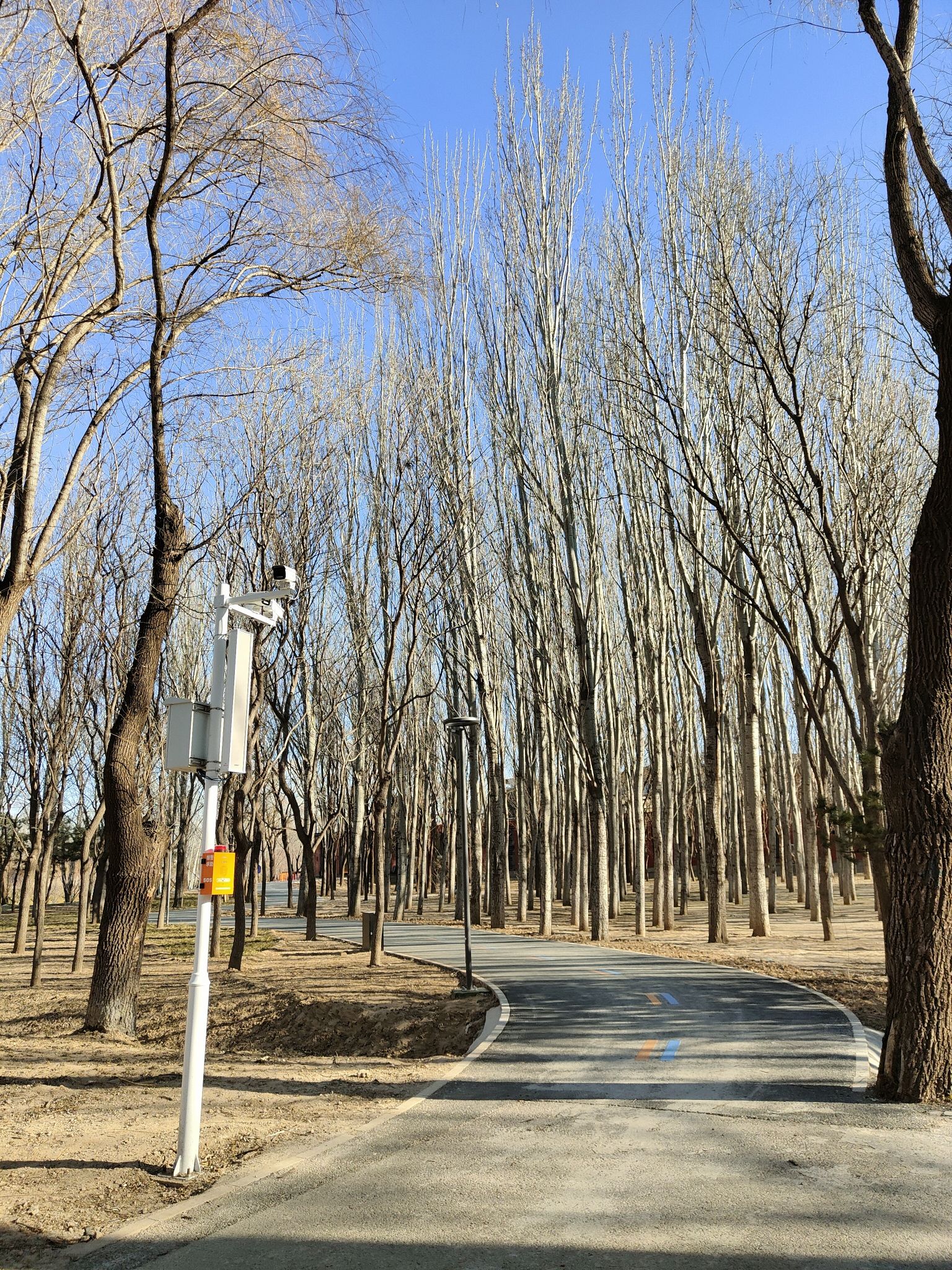 将府公园旅行图片 1