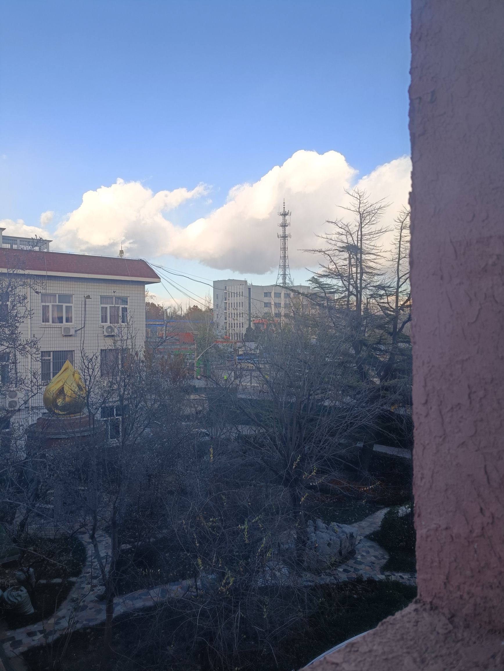北京市第十中学(高中校区)