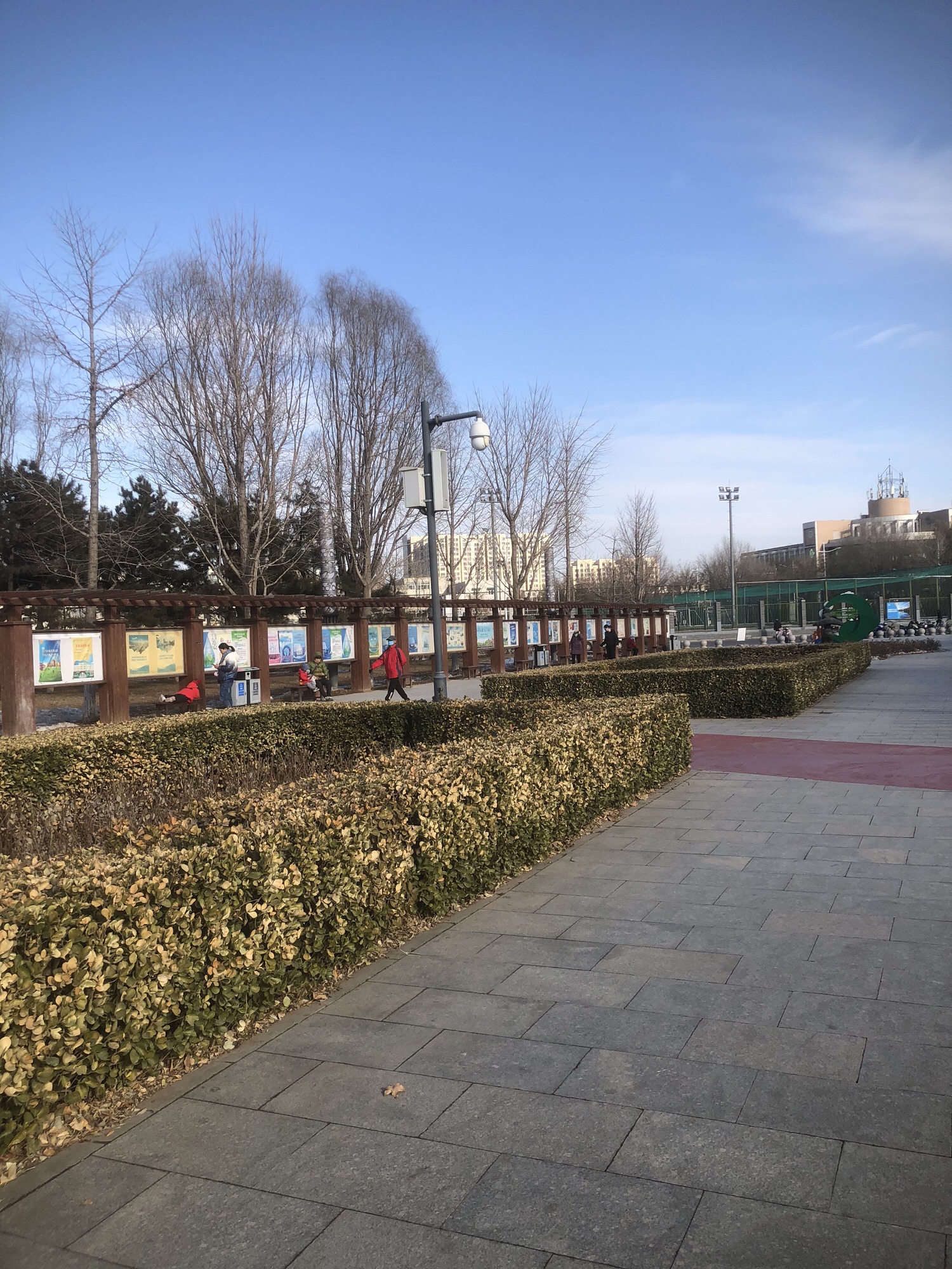 永安公园旅行图片 2