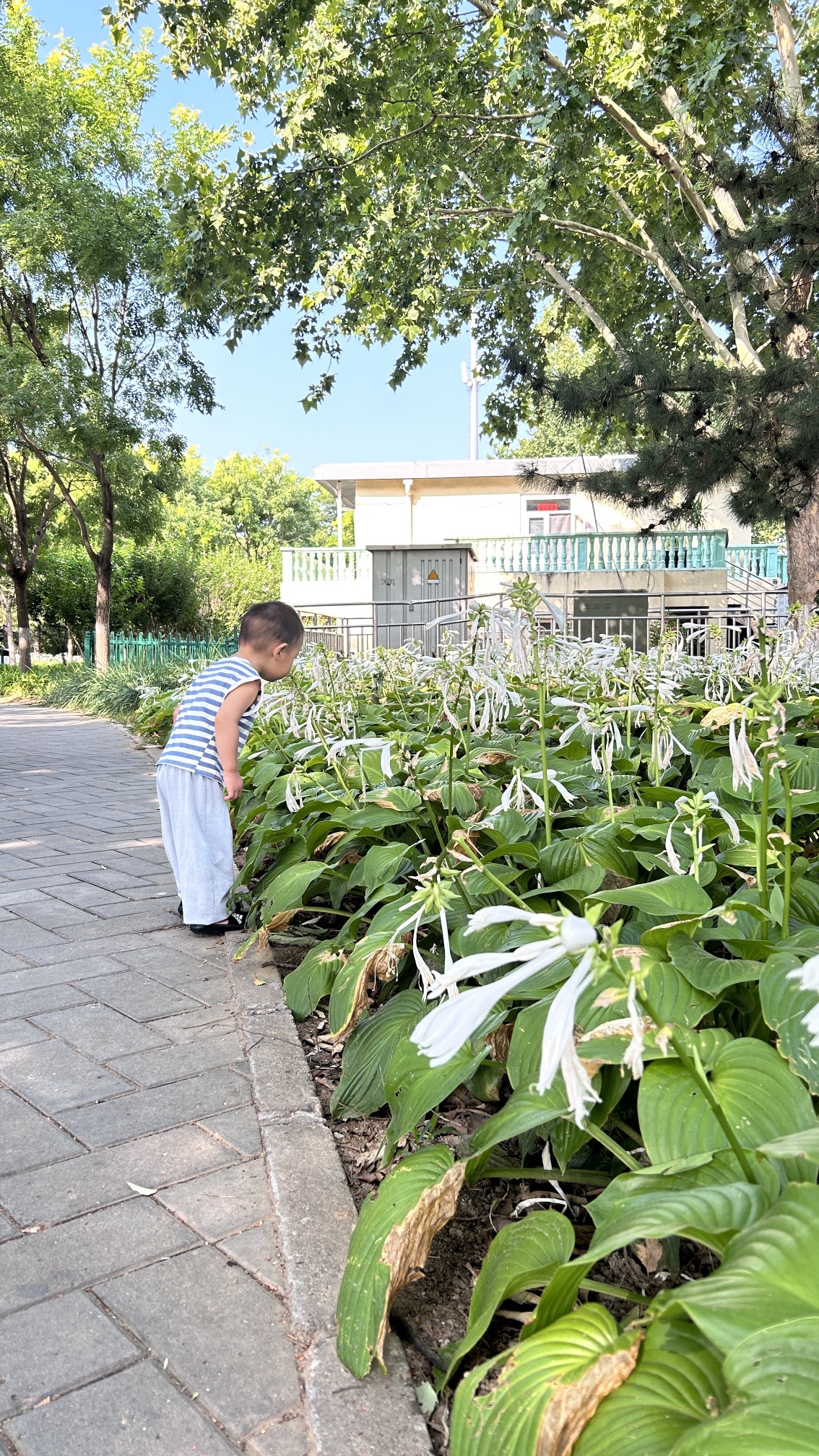 永安公园旅行图片 1