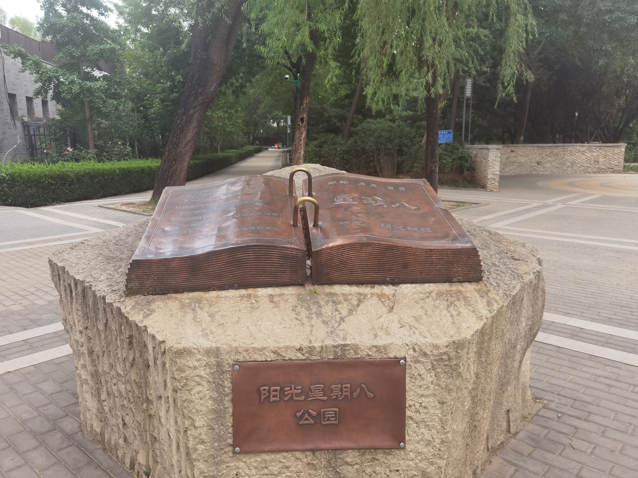 阳光星期八公园旅行图片 1