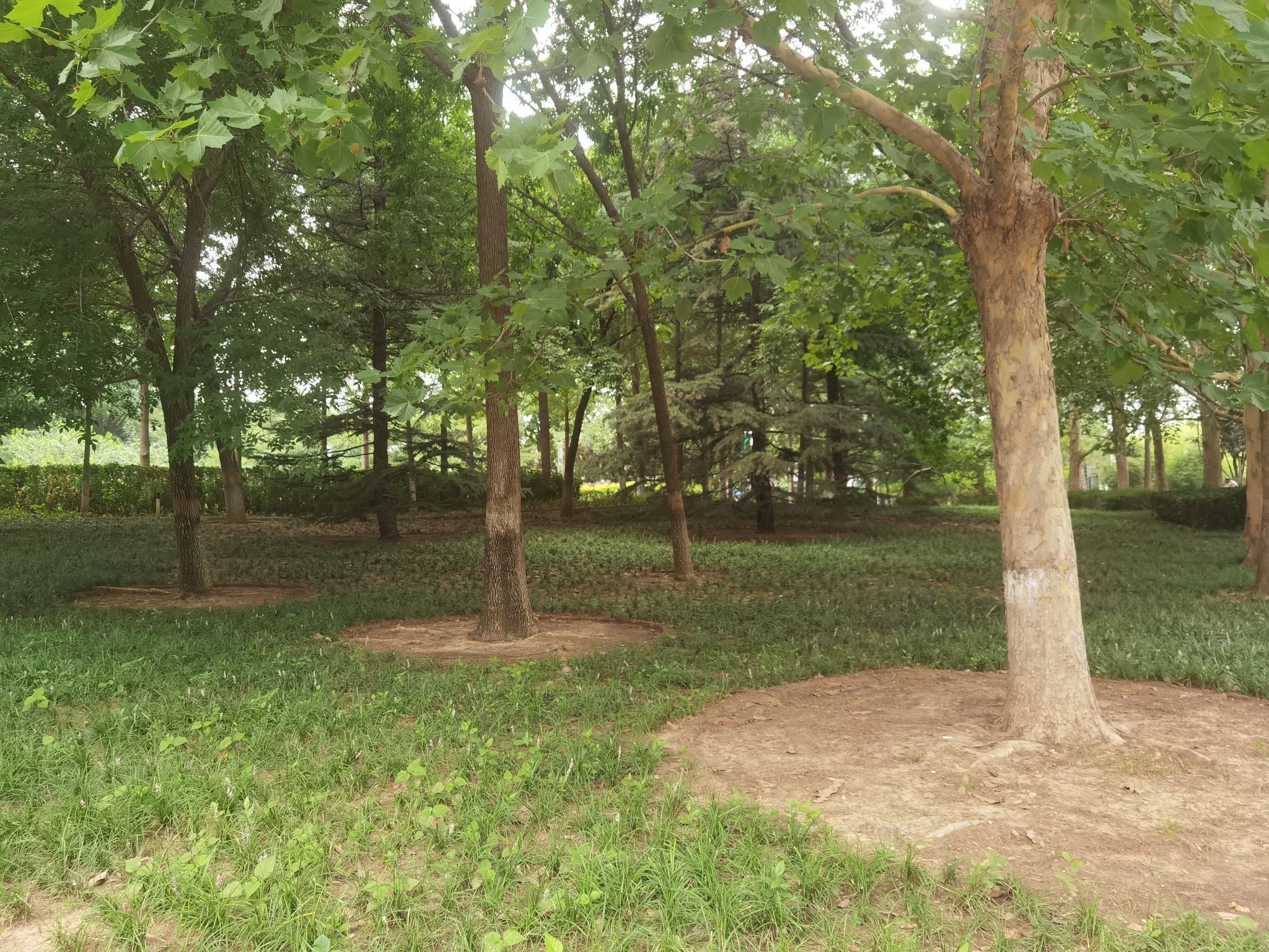 阳光星期八公园旅行图片 2
