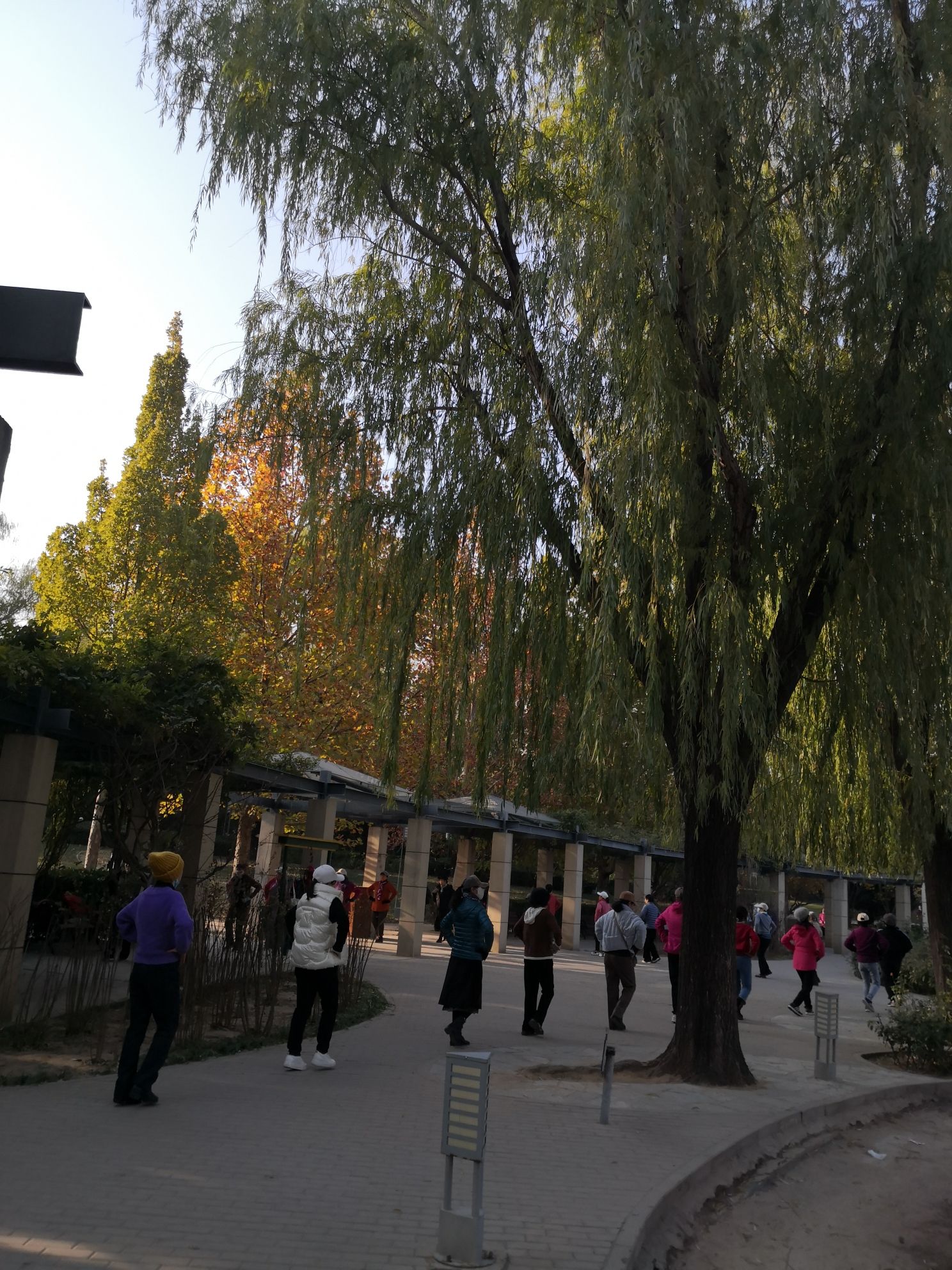 阳光星期八公园旅行图片 3