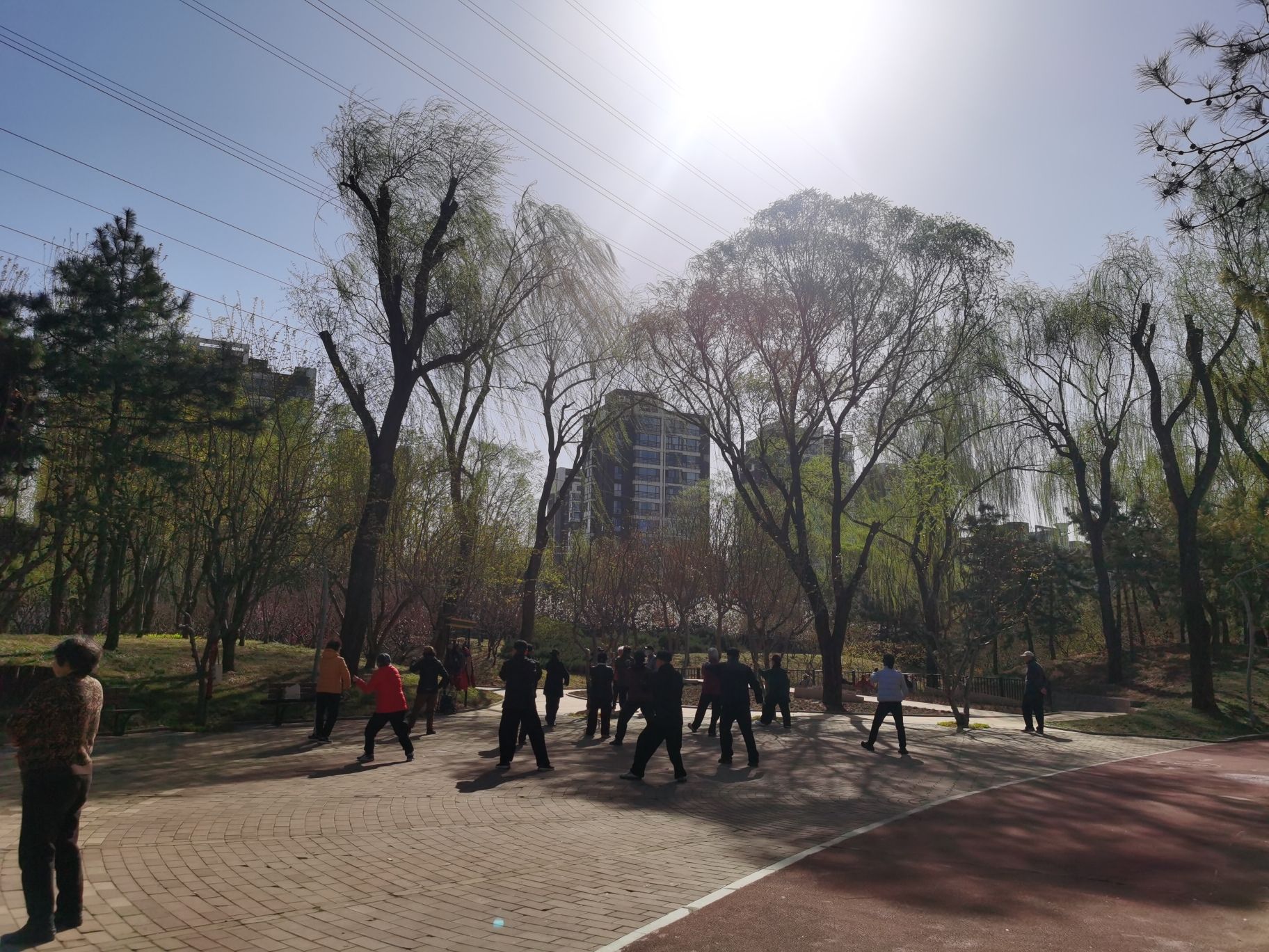 长春健身园旅行图片 2