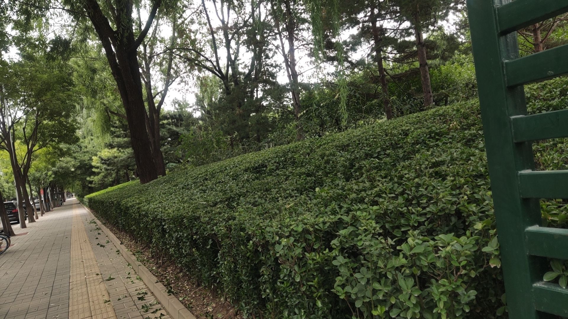 长春健身园旅行图片 3