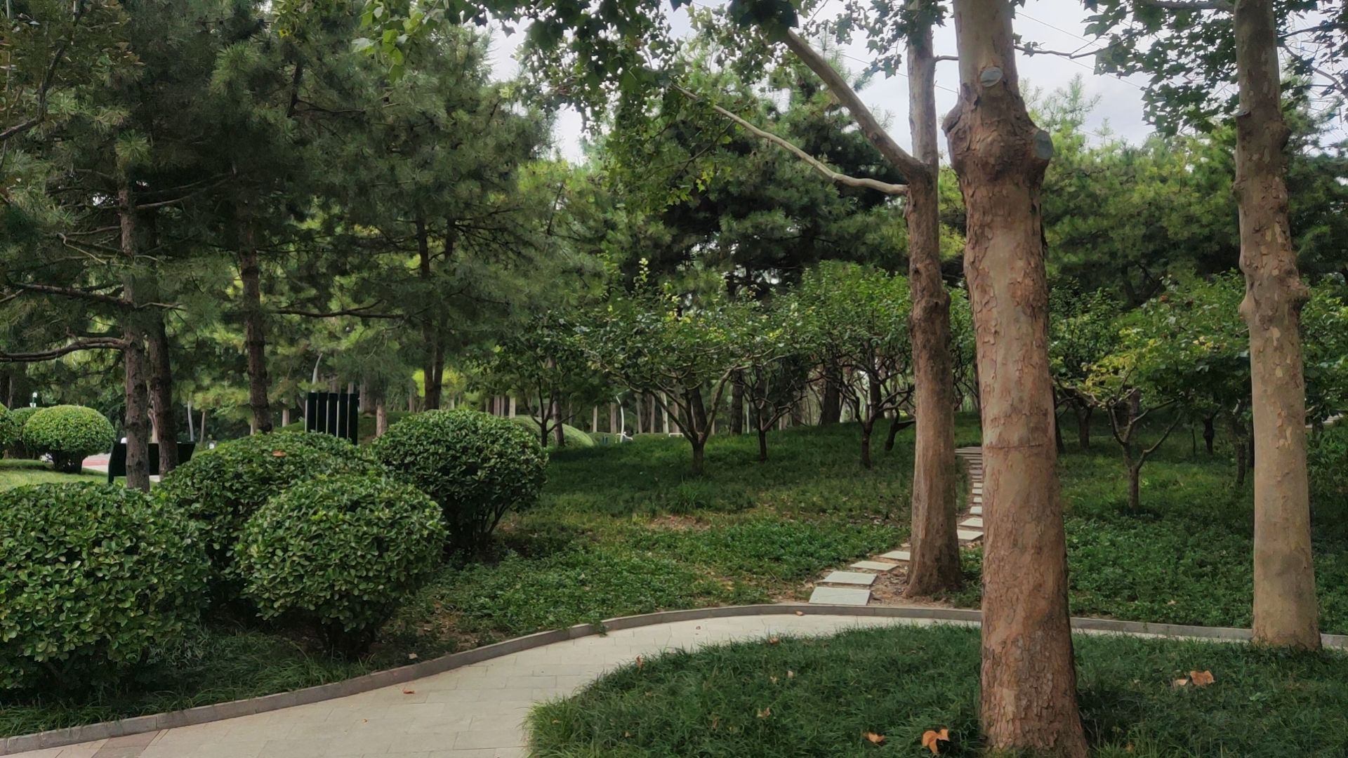 长春健身园旅行图片 2