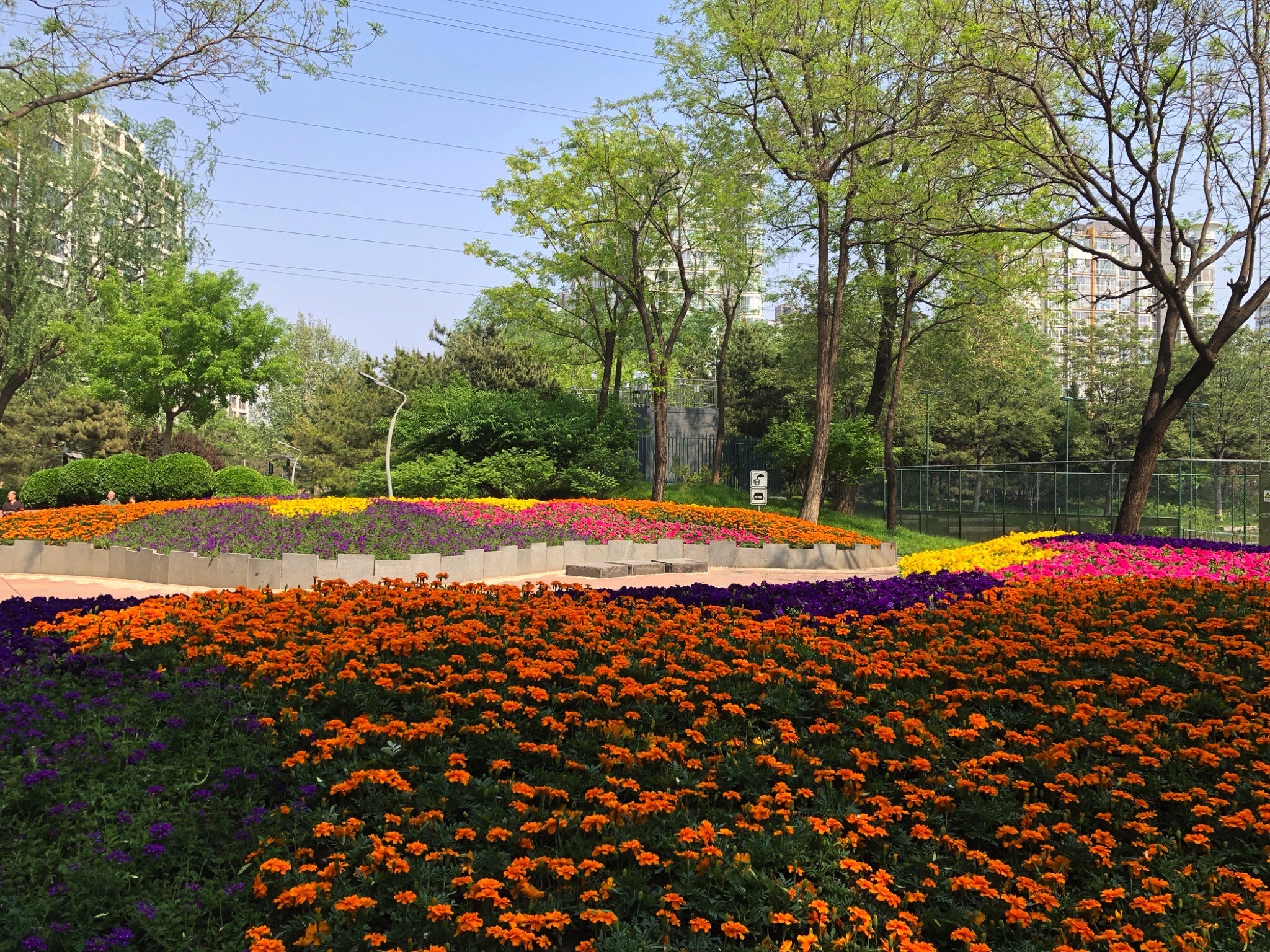 长春健身园旅行图片 1