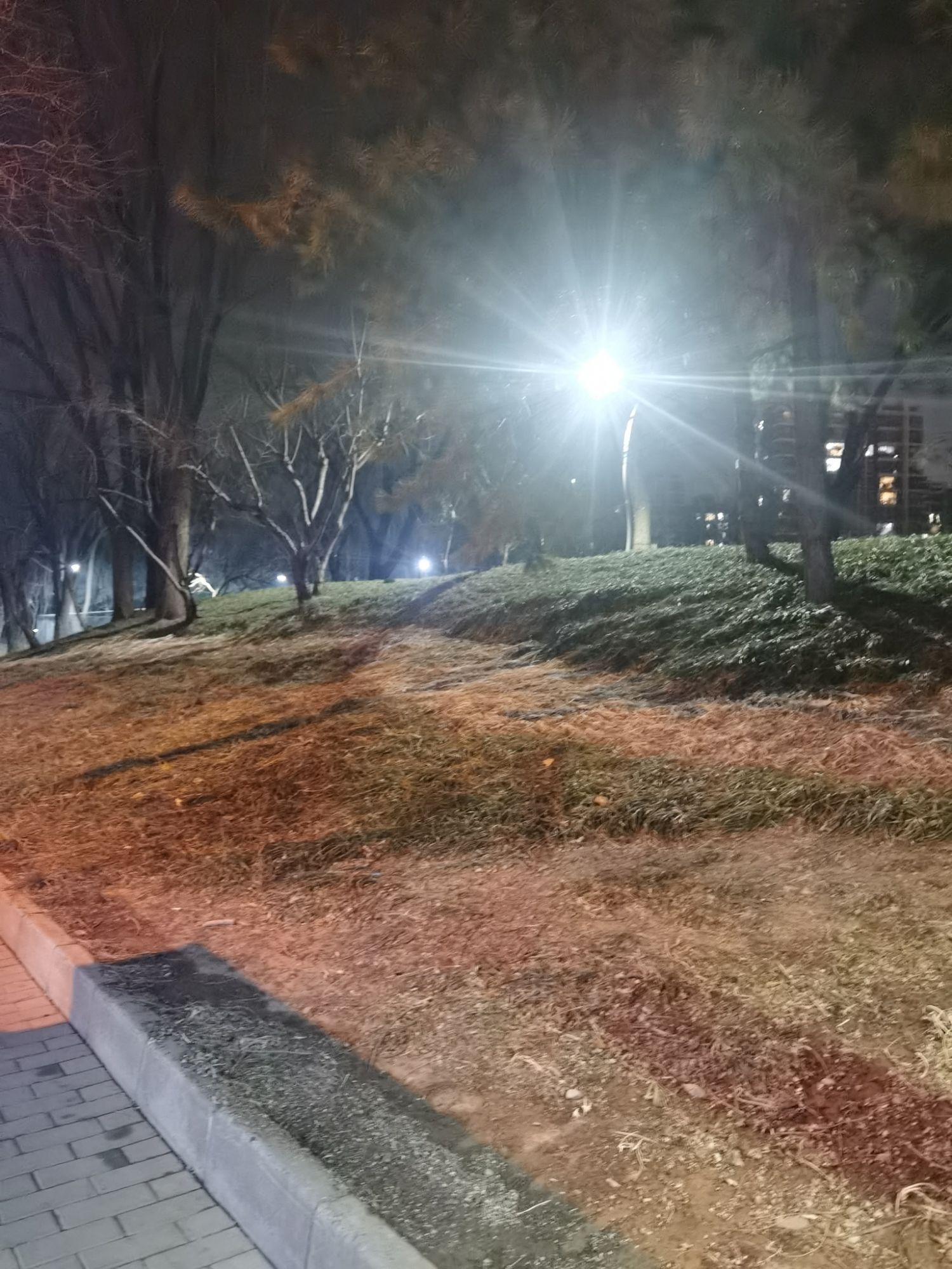 长春健身园旅行图片 1
