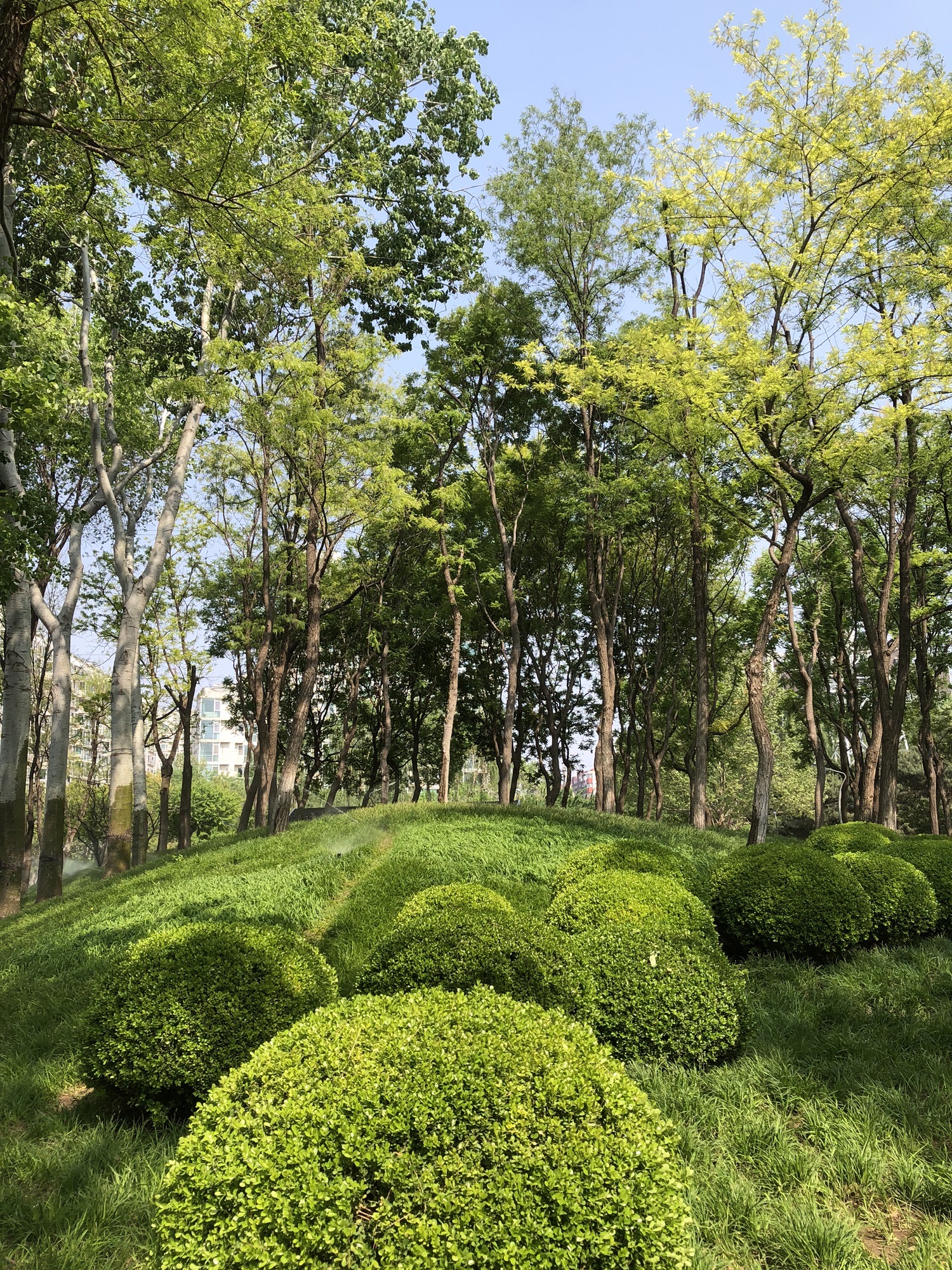 长春健身园旅行图片 3