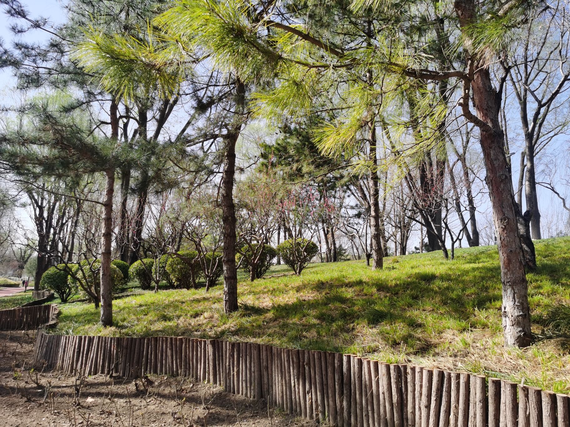 长春健身园旅行图片 3
