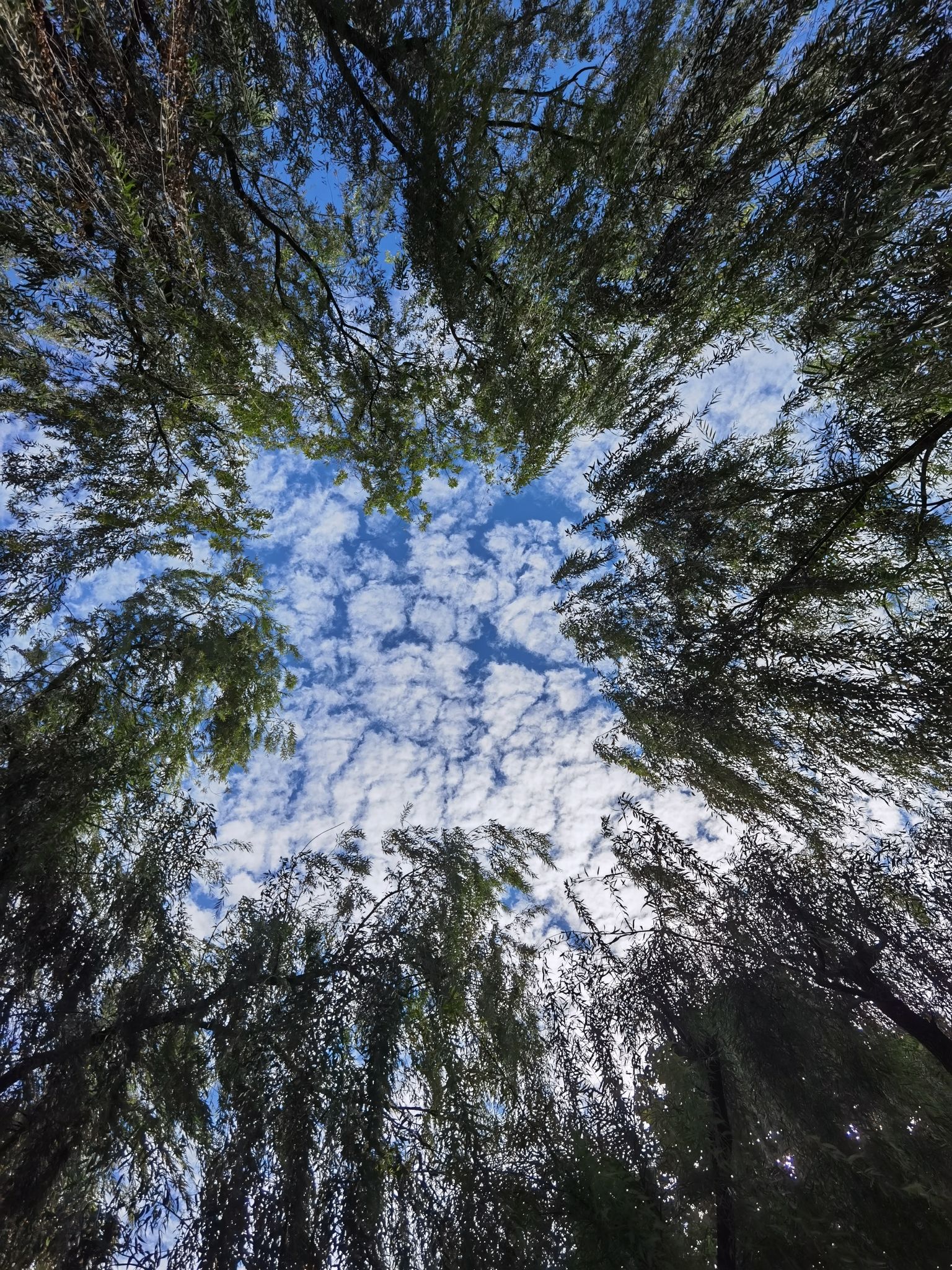 长春健身园旅行图片 1