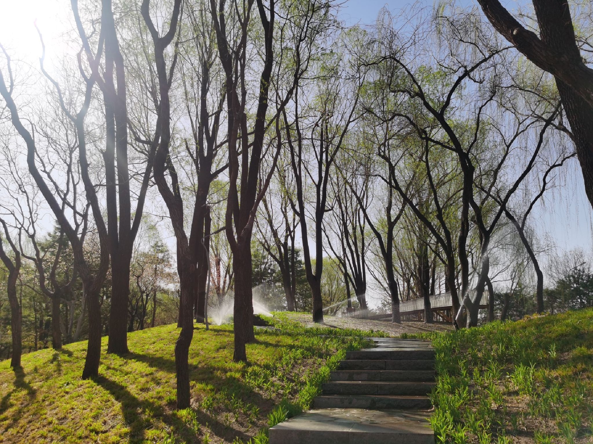 长春健身园旅行图片 1