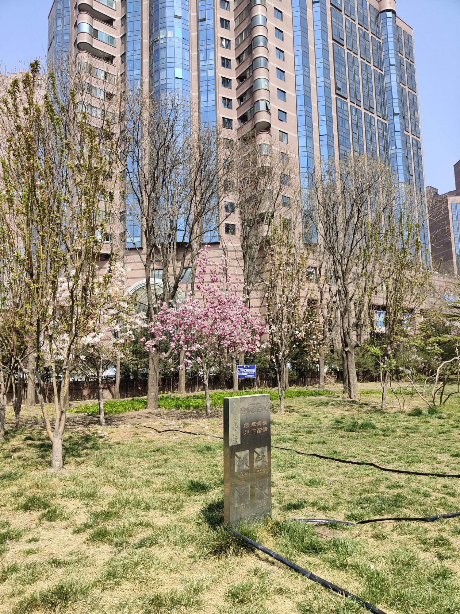大屯文化广场旅行图片 3