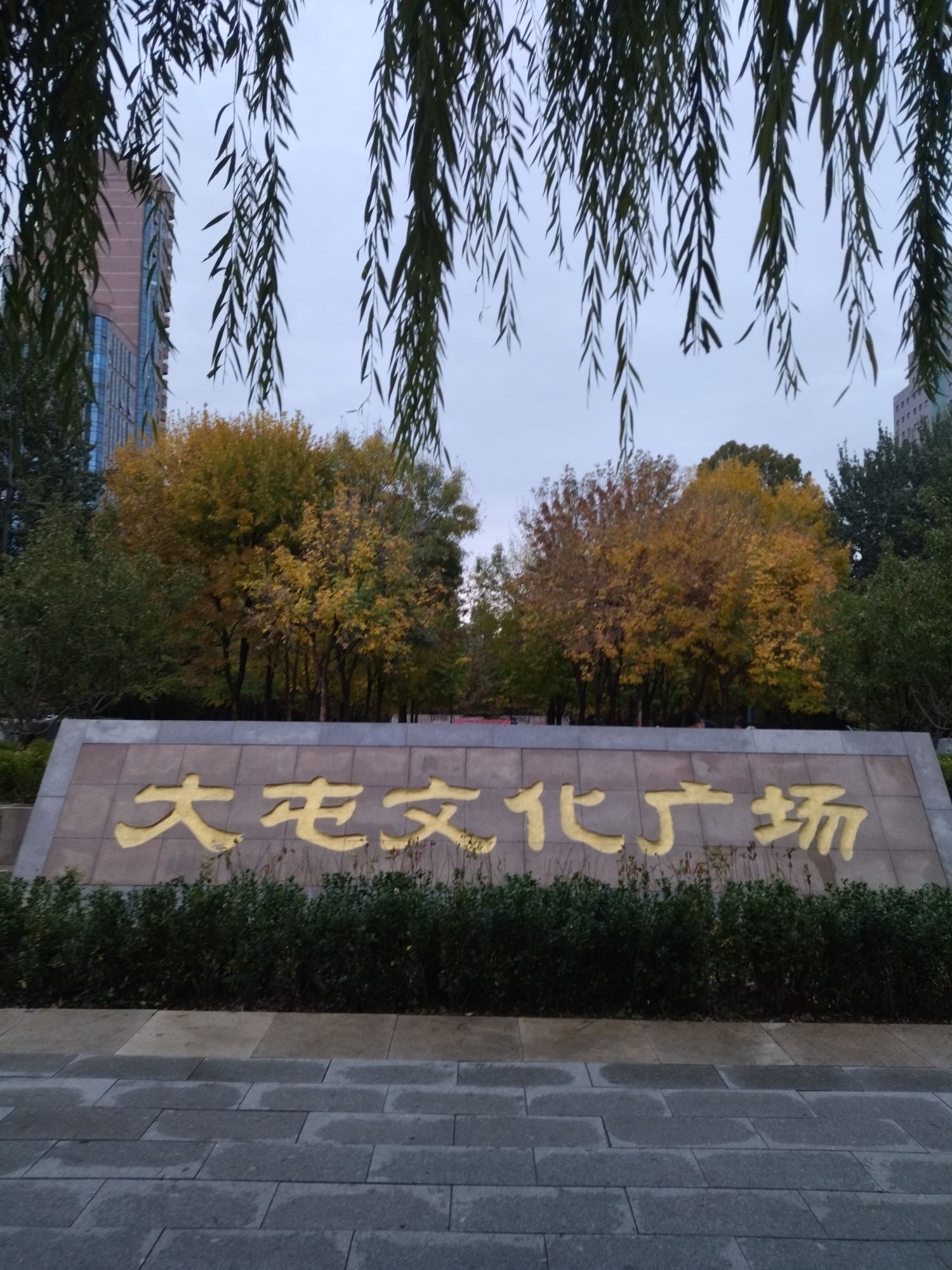 大屯文化广场旅行图片 1