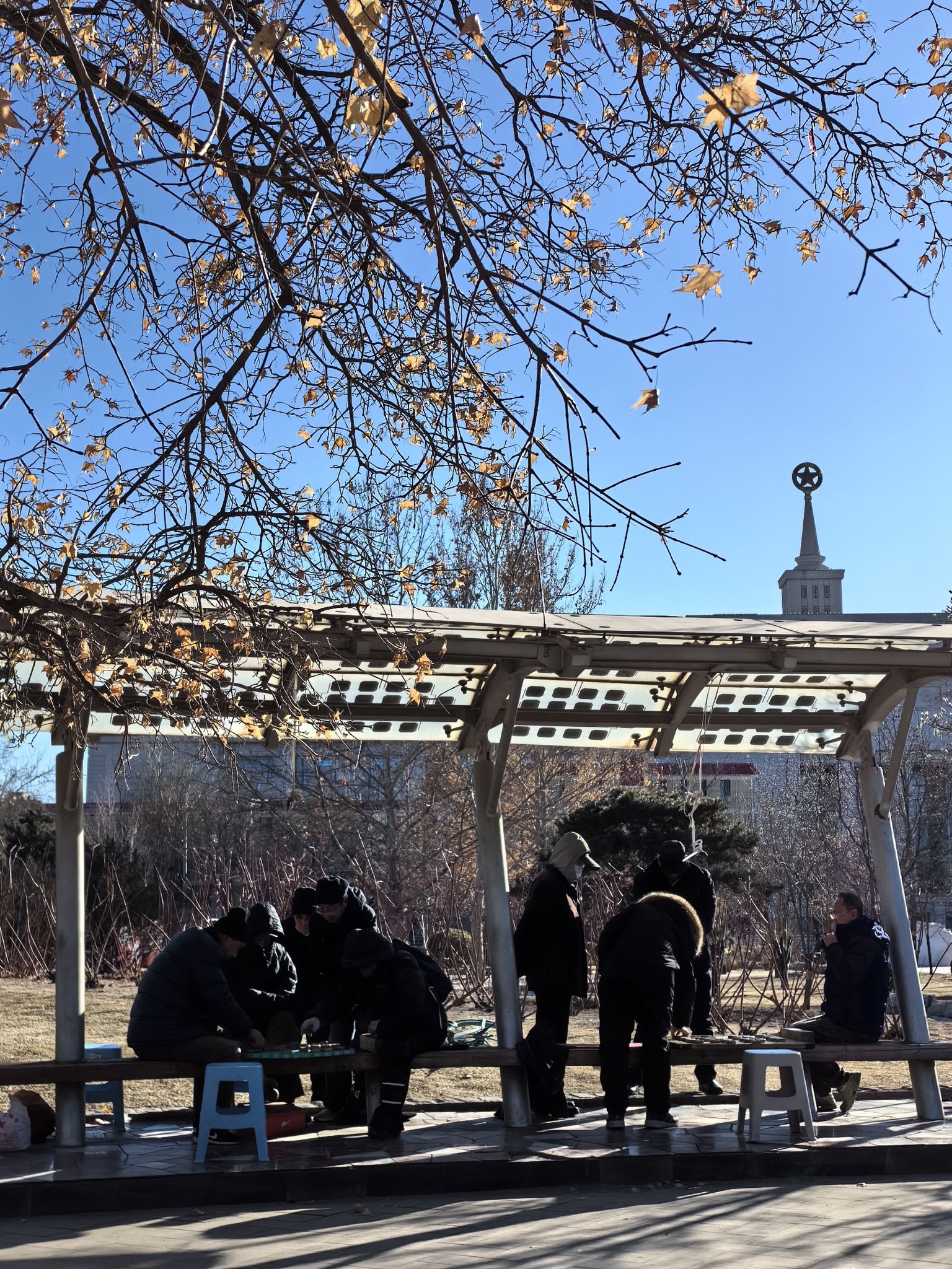 中华世纪坛公园旅行图片 2