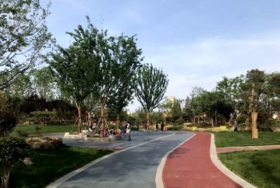 兴海公园旅行图片 2