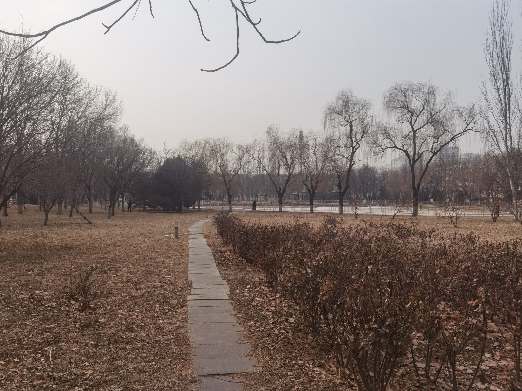 兴海公园旅行图片 3