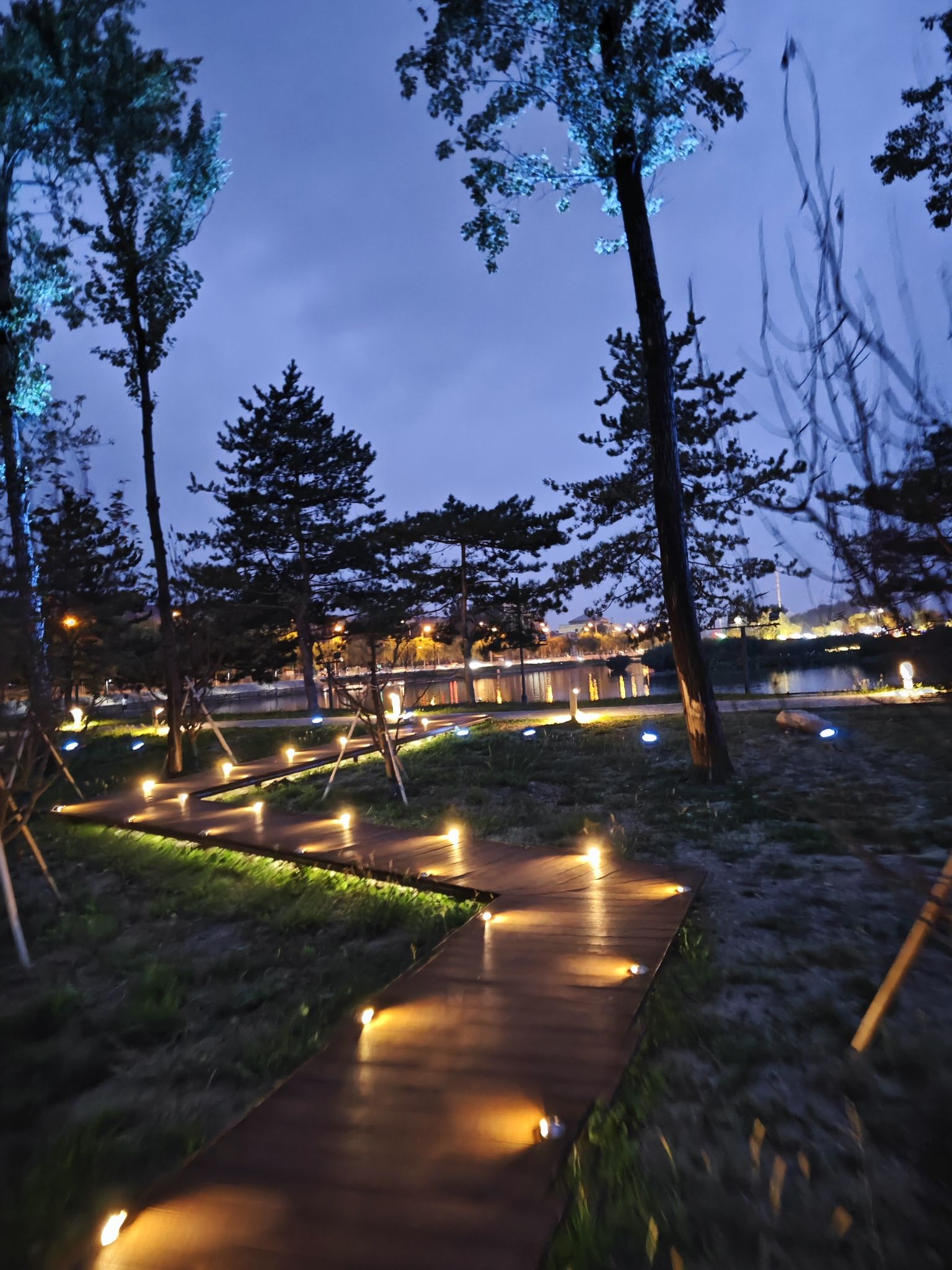 东湖公园旅行图片 2