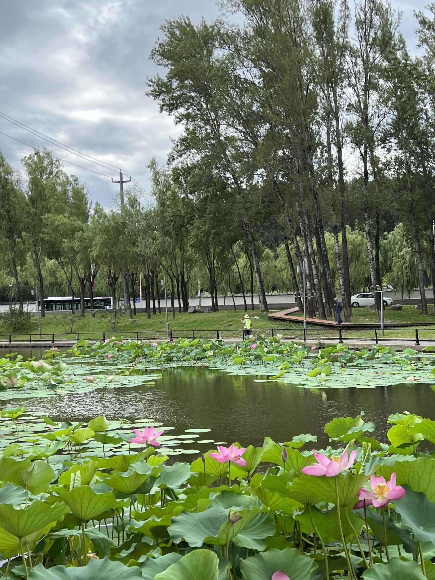东湖公园旅行图片 2