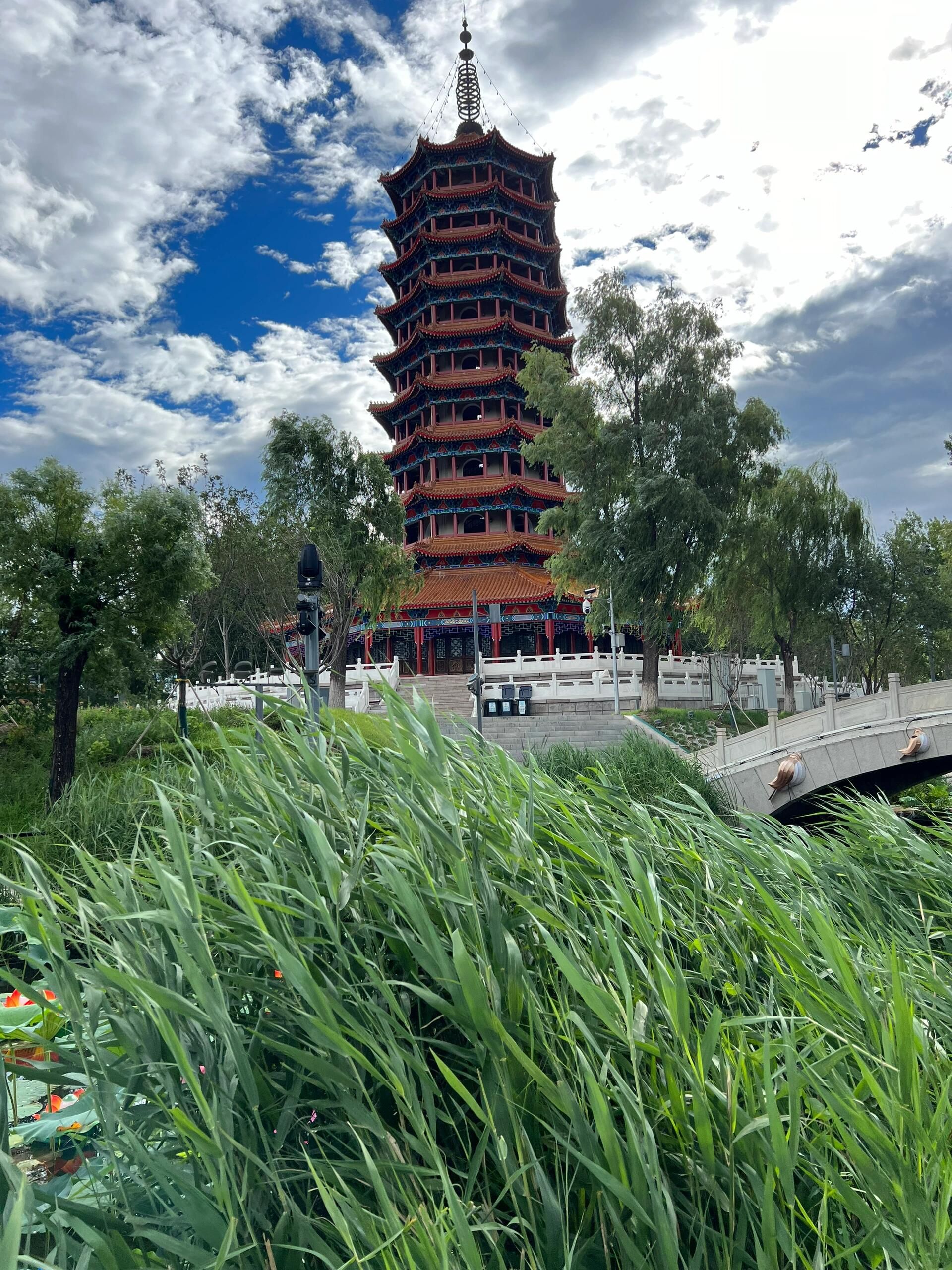 东湖公园旅行图片 3