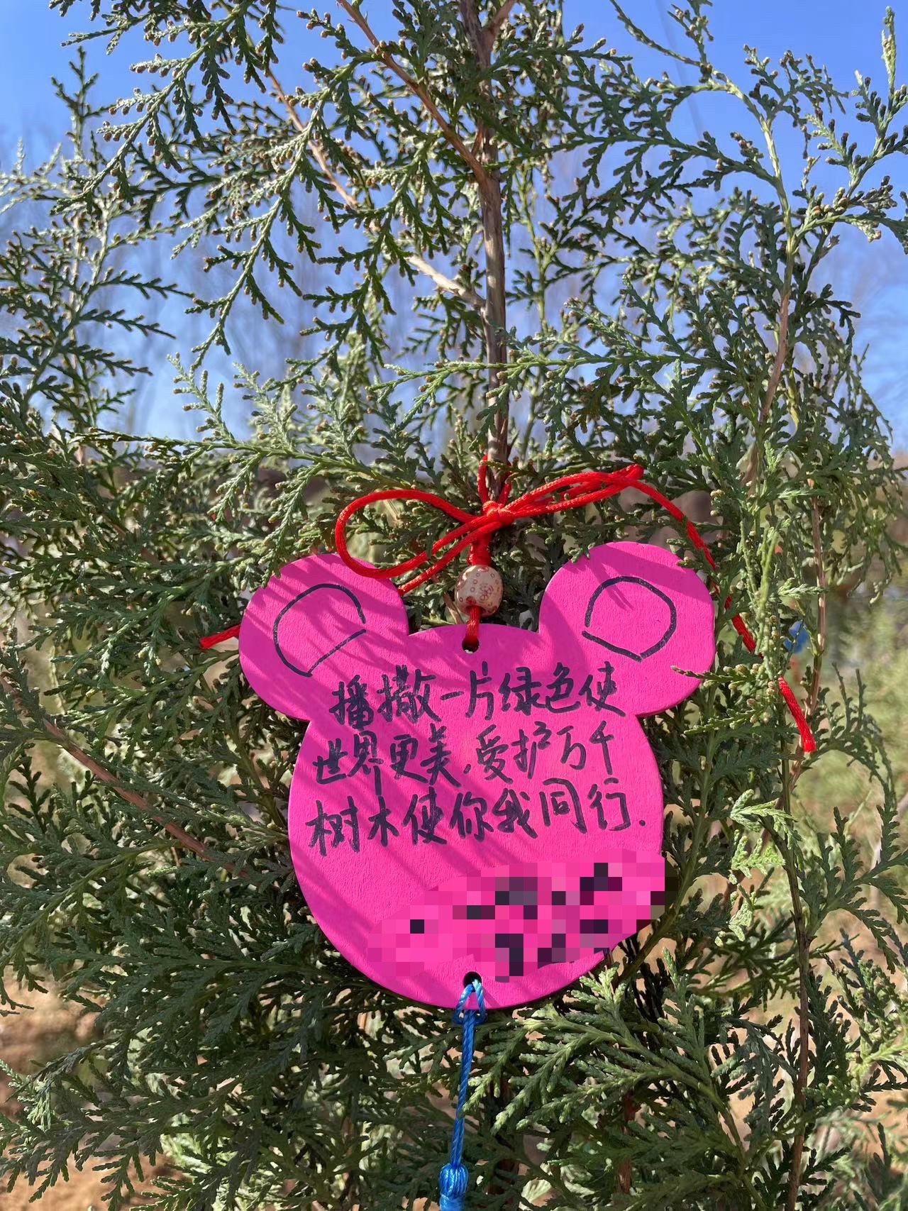 北京生存岛实践基地旅行图片 3