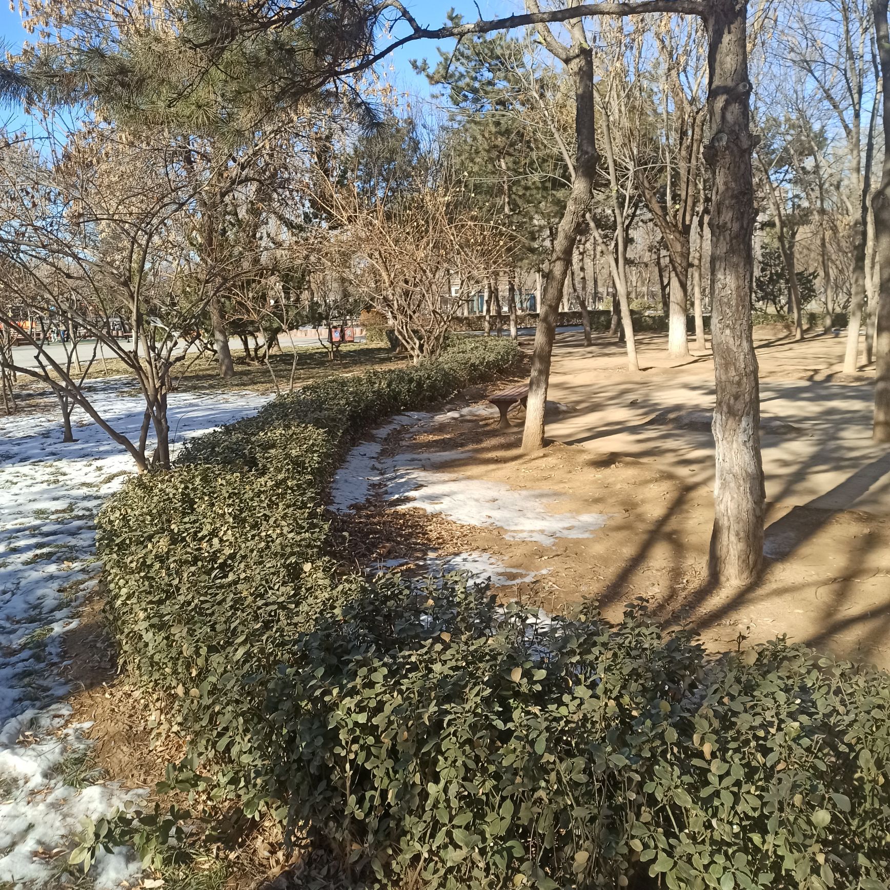 太扬公园旅行图片 2