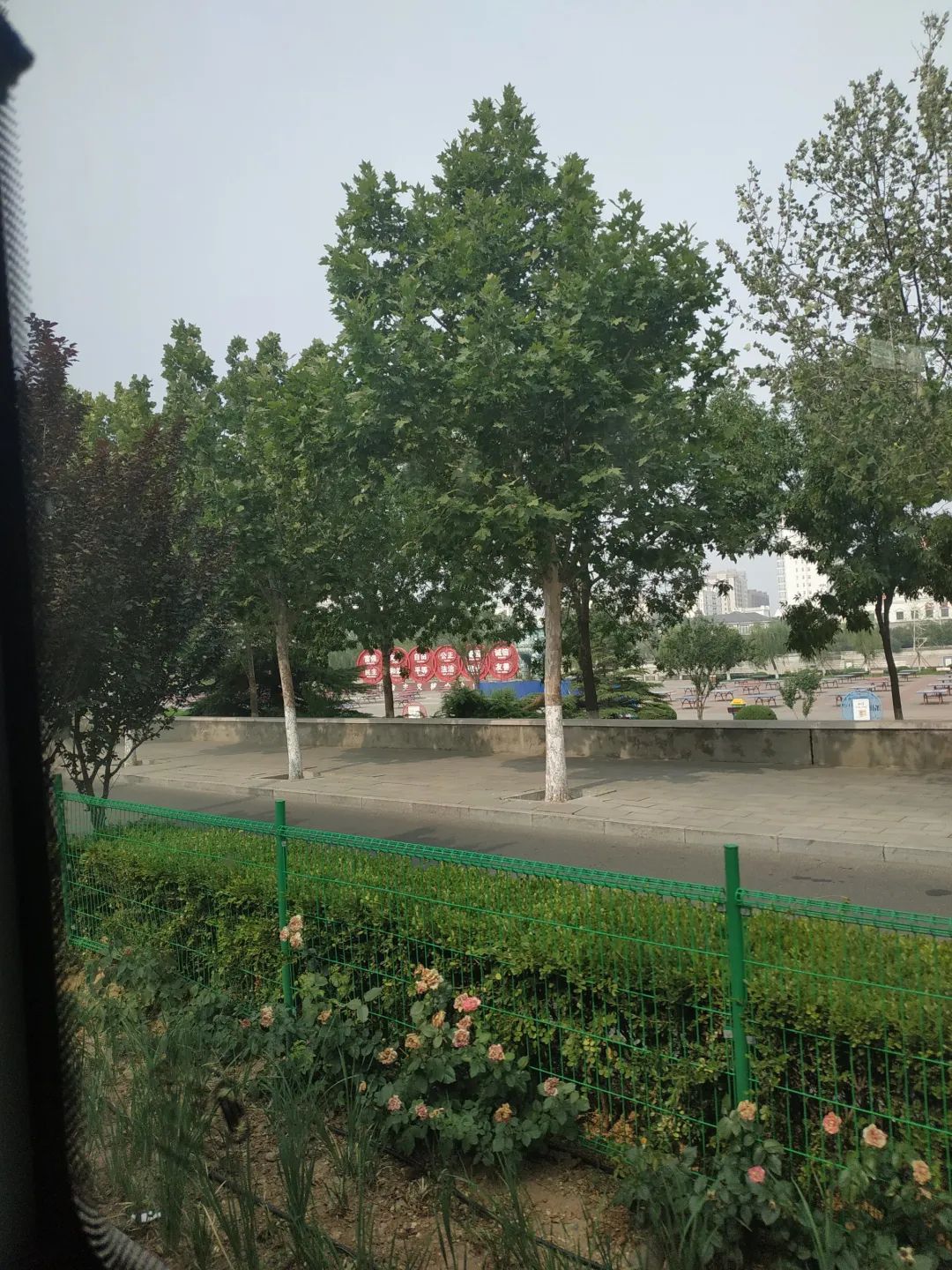 太扬公园旅行图片 2
