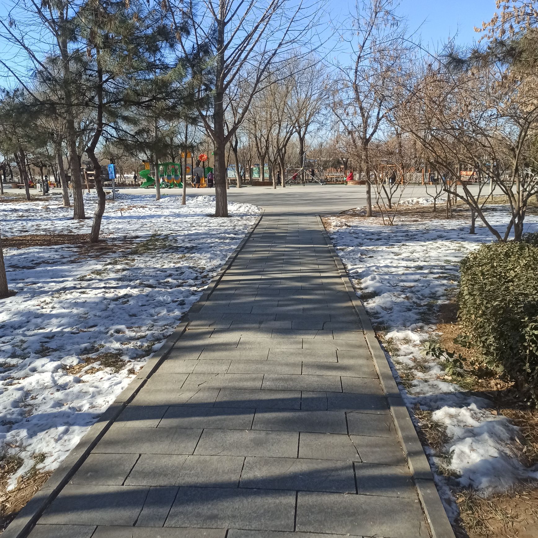 太扬公园旅行图片 1