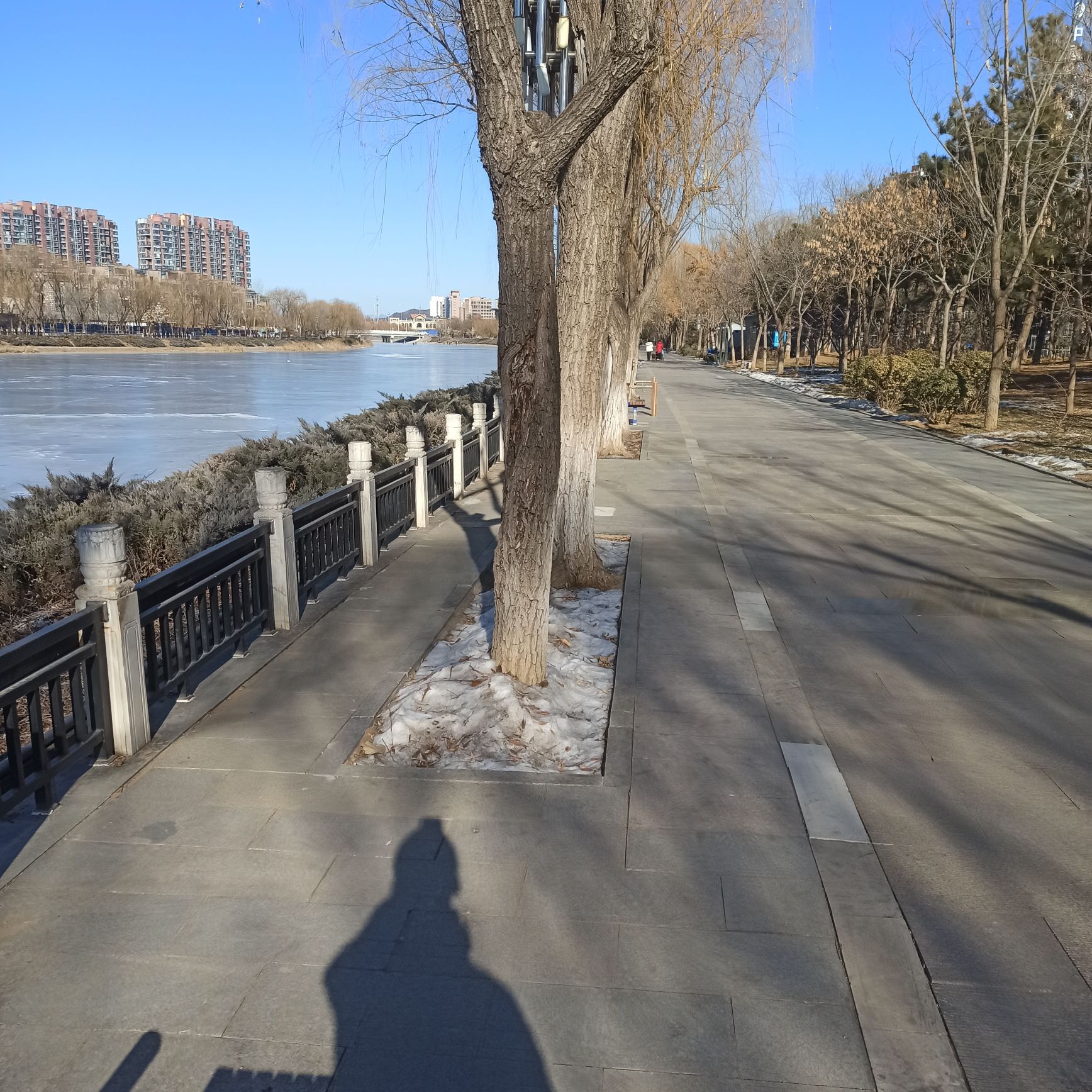太扬公园旅行图片 3