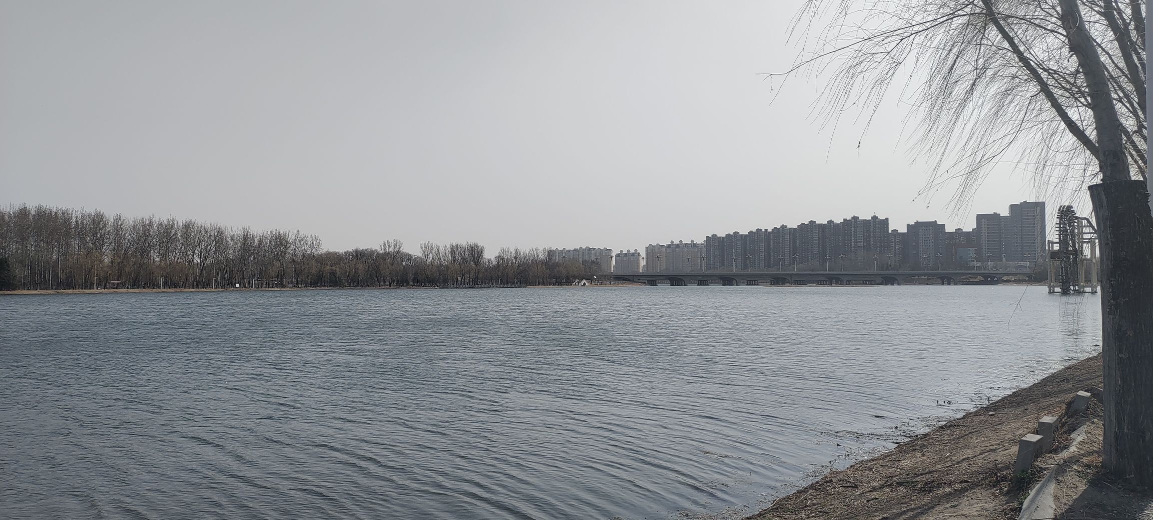 减河公园旅行图片 3