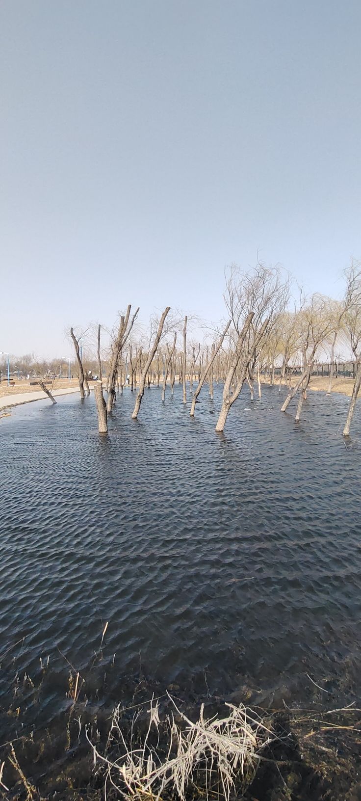 减河公园旅行图片 2